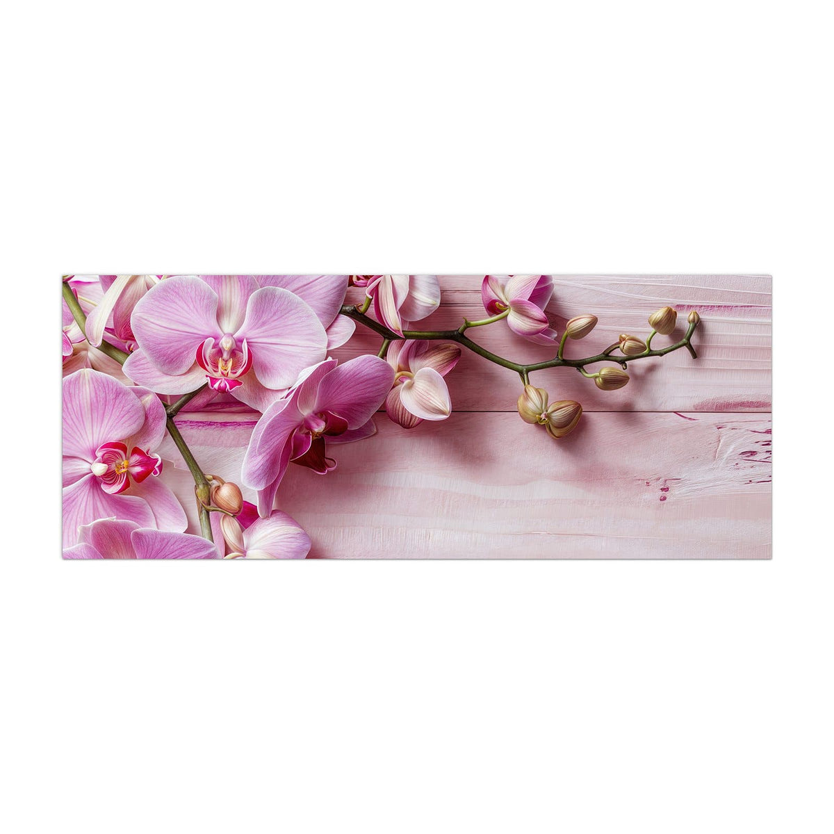 Küchenrückwand aus Glas Rosa Orchideenzweig im Hochformat, Motiv bildfüllend von vorn