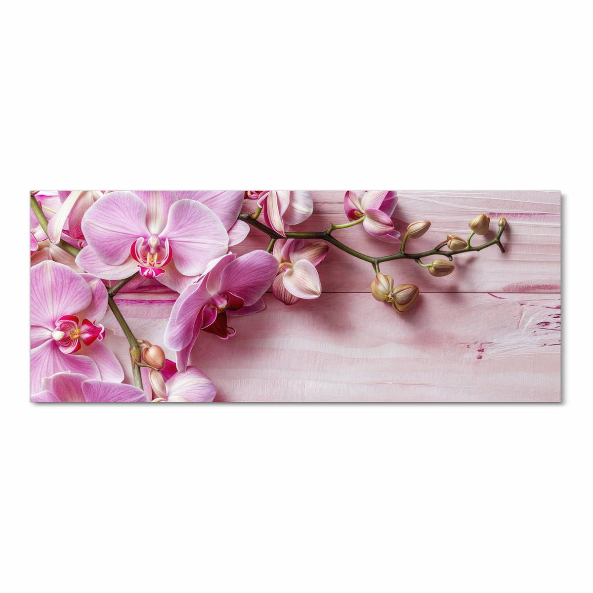 rosa Orchideenzweig auf hell rosa gestrichenem Holz