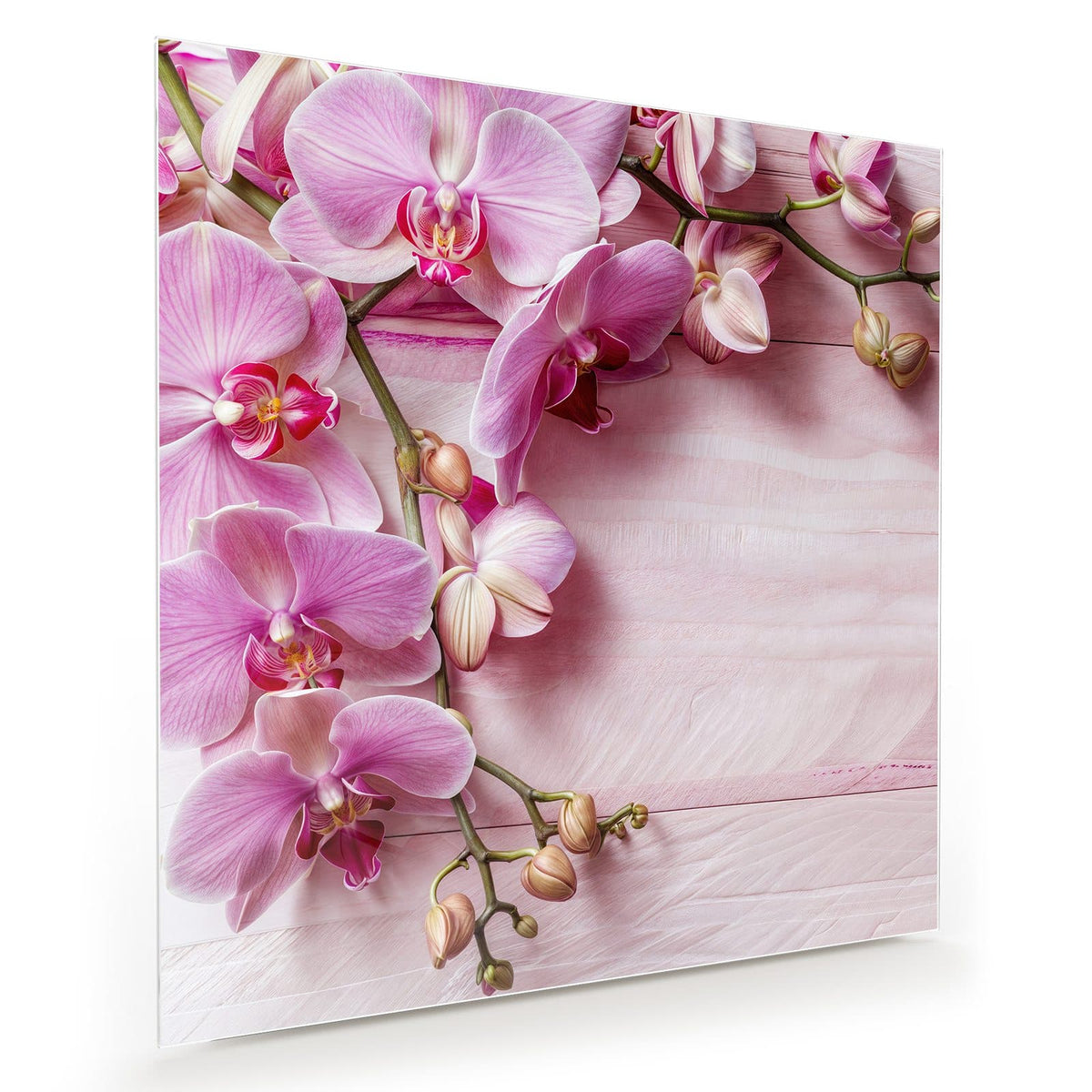 rosa Orchideenzweig auf hell rosa gestrichenem Holz
