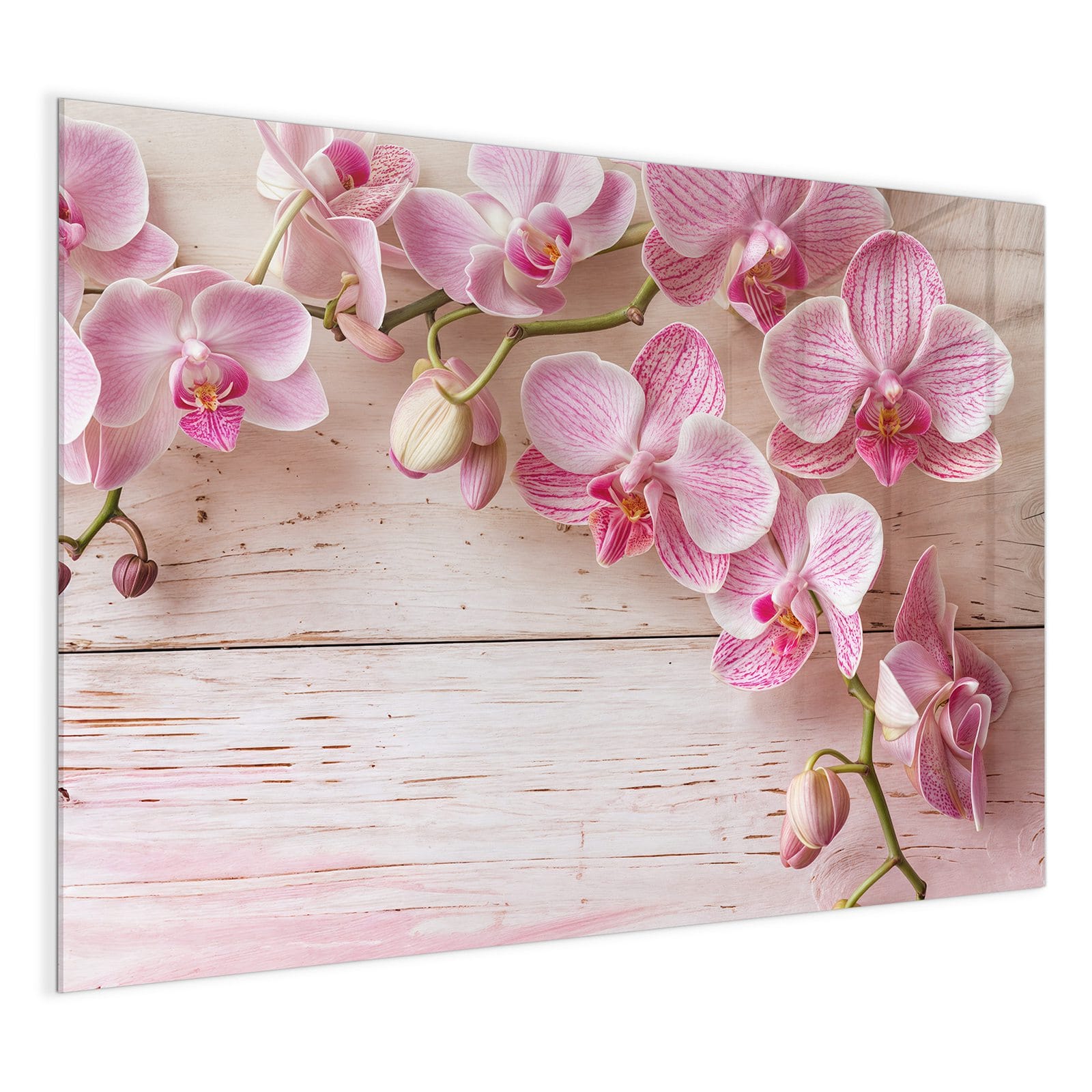 #grösse_120 x 90 cm