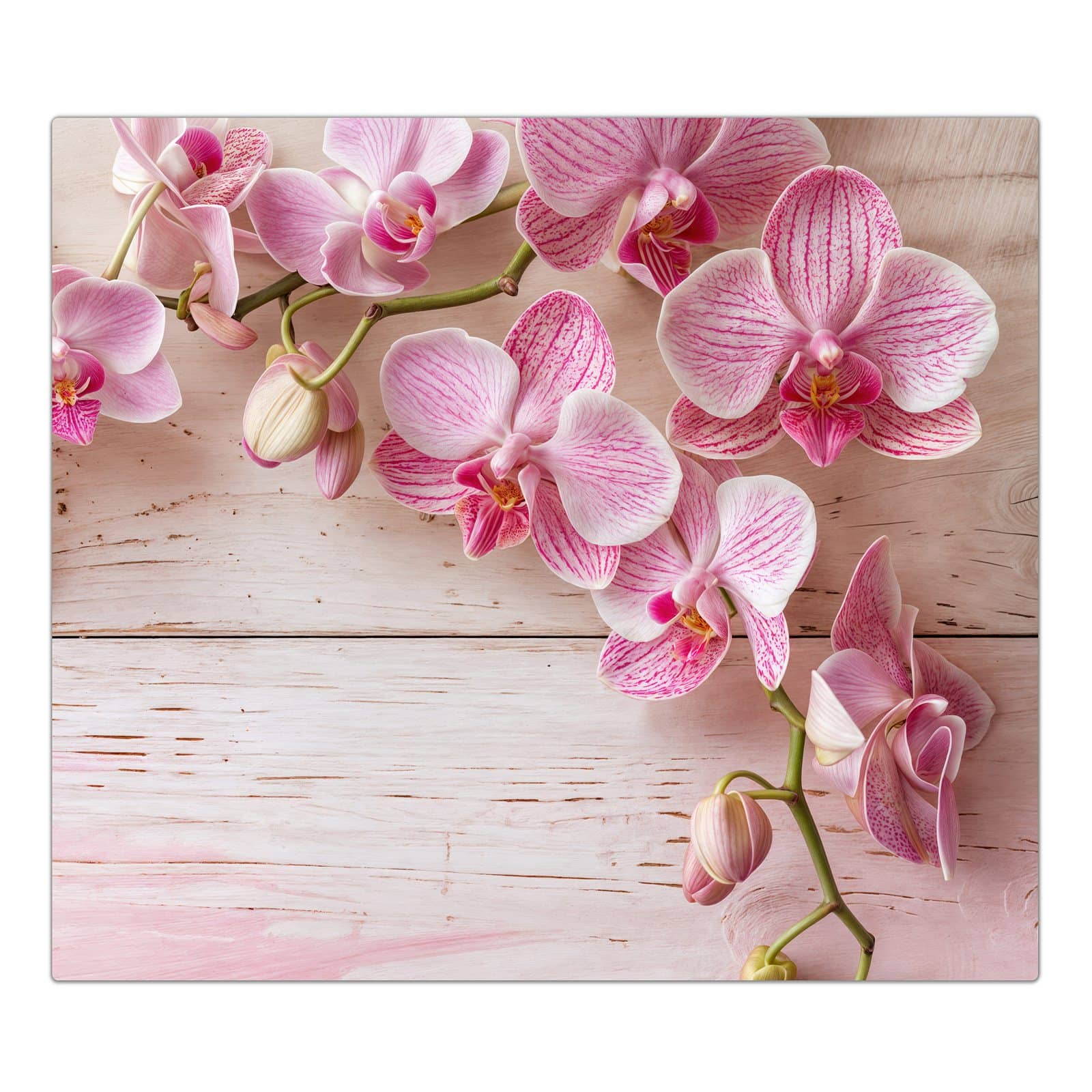 1-teilige Herdabdeckplatte mit Orchideen_tabletop-Motiv in der Frontansicht