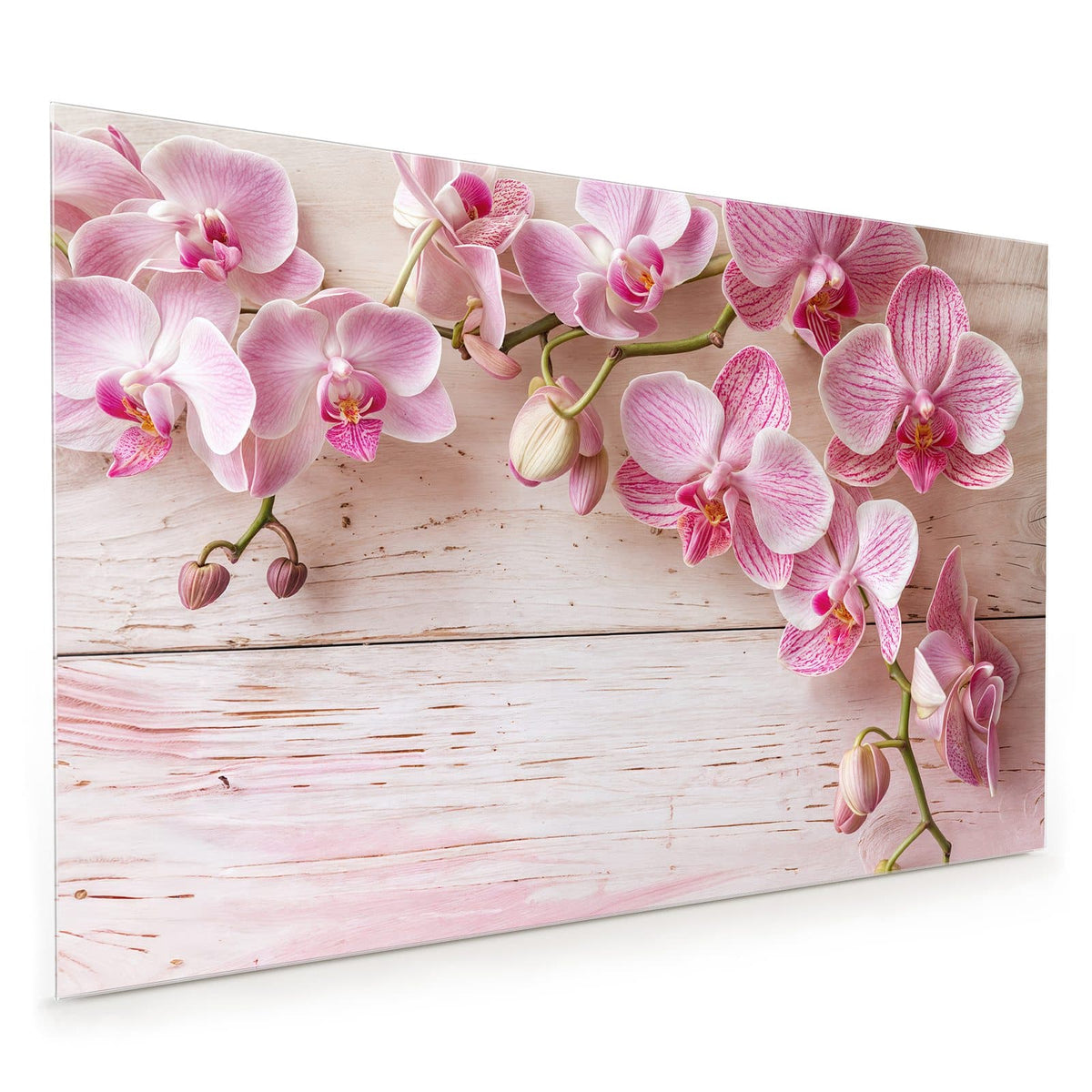 Küchenrückwand aus Glas im Hochformat mit Motiv Orchideen auf Rosa: Rosa gestreifte Phalaenopsis-Rispe auf weiß-rosa lasierten Holzbrettern
