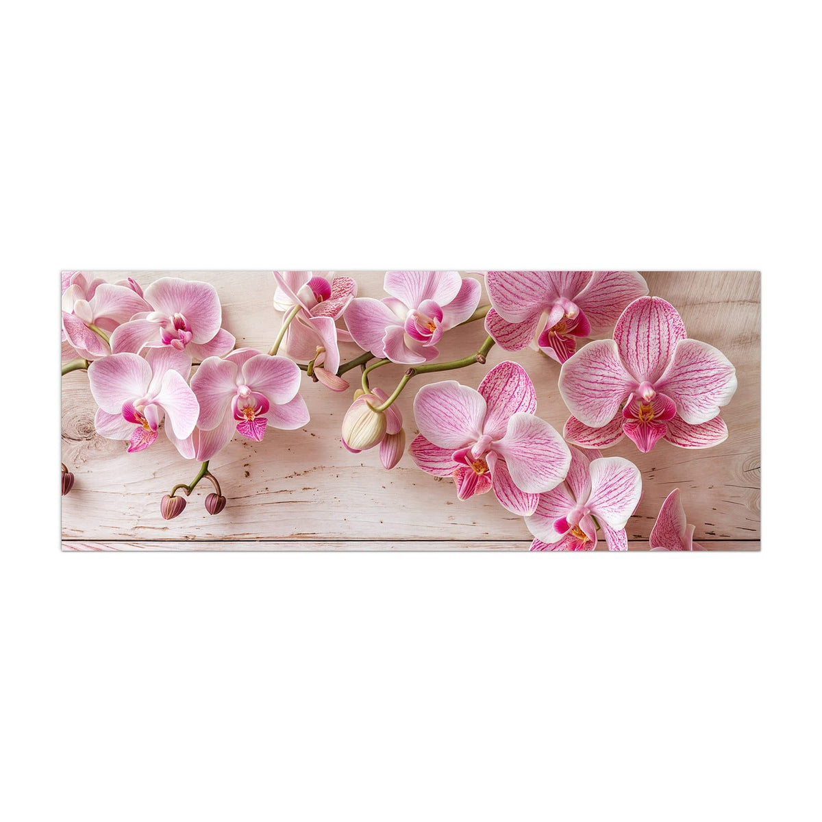 Küchenrückwand aus Glas Orchideen auf Rosa im Hochformat, Motiv bildfüllend von vorn