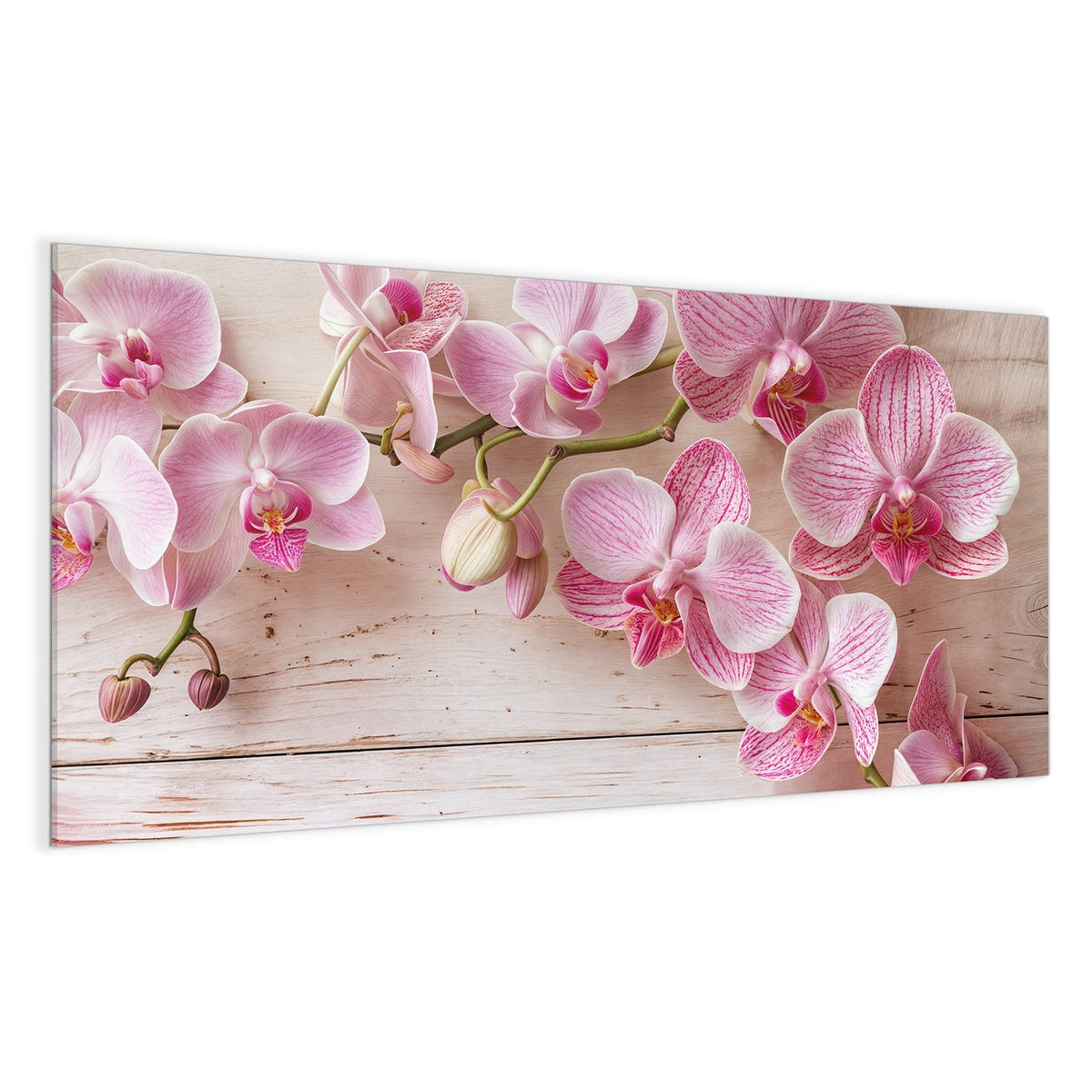 Rosa gestreifte Phalaenopsis-Rispe auf weiß-rosa lasierten Holzbrettern