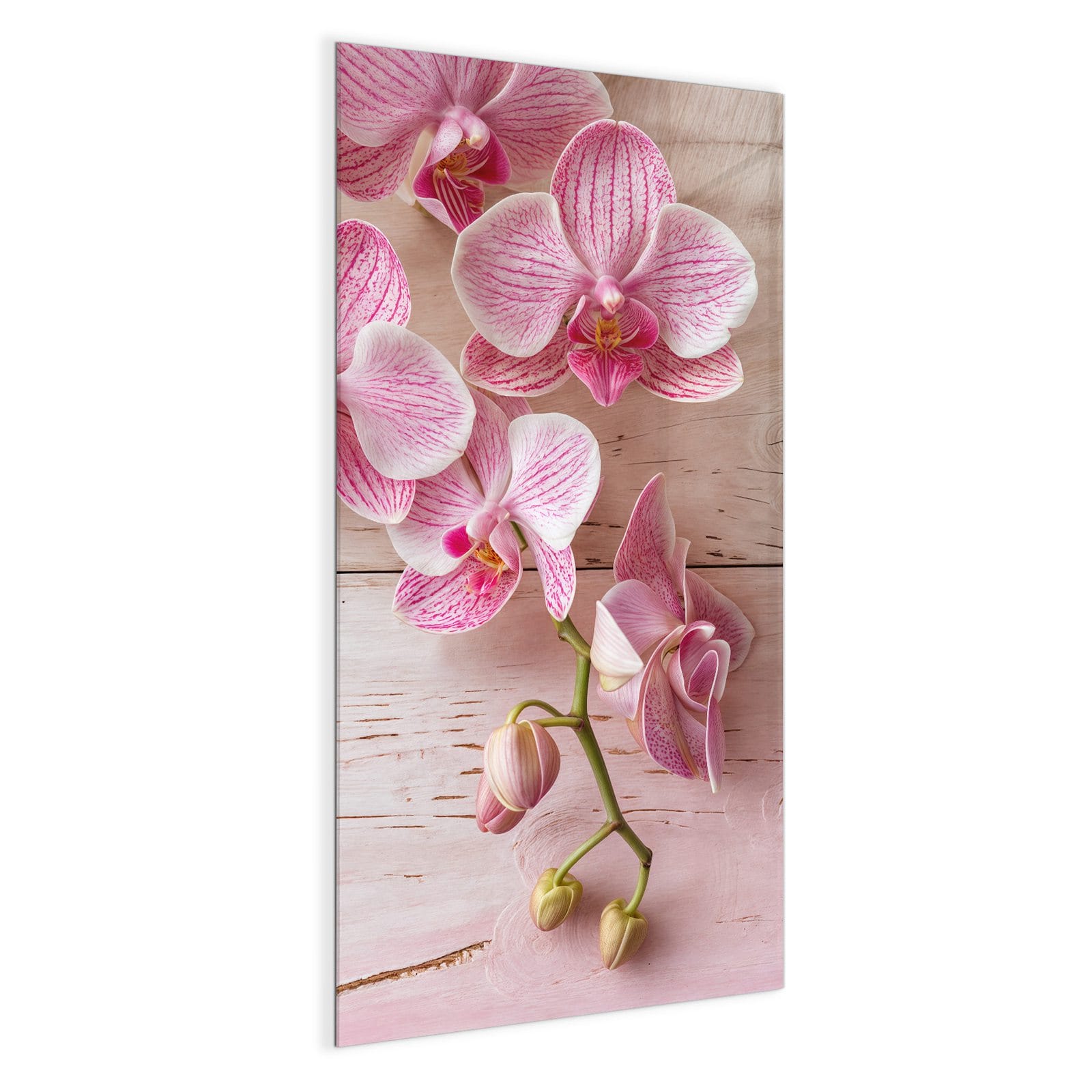 #grösse_50 x 100 cm