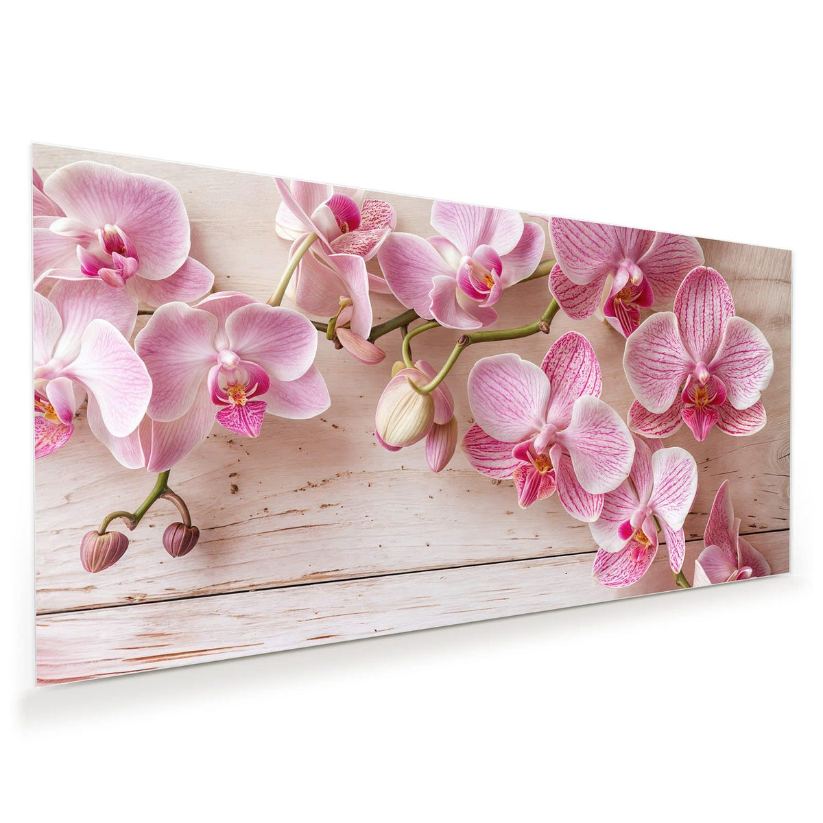 Rosa gestreifte Phalaenopsis-Rispe auf weiß-rosa lasierten Holzbrettern