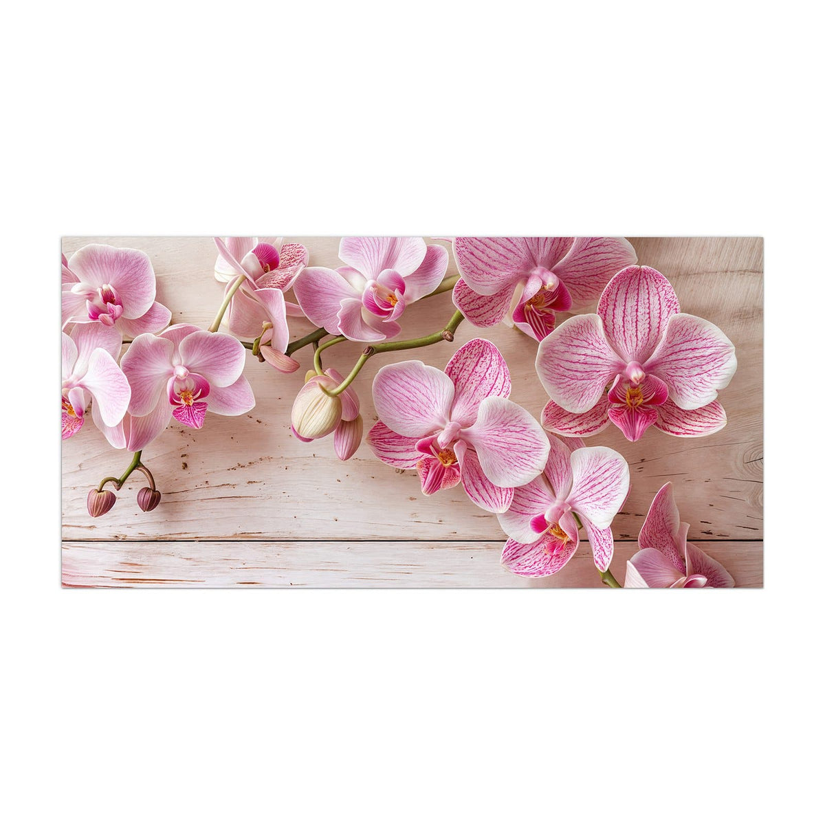 Küchenrückwand aus Glas Orchideen auf Rosa im Hochformat, Motiv bildfüllend von vorn