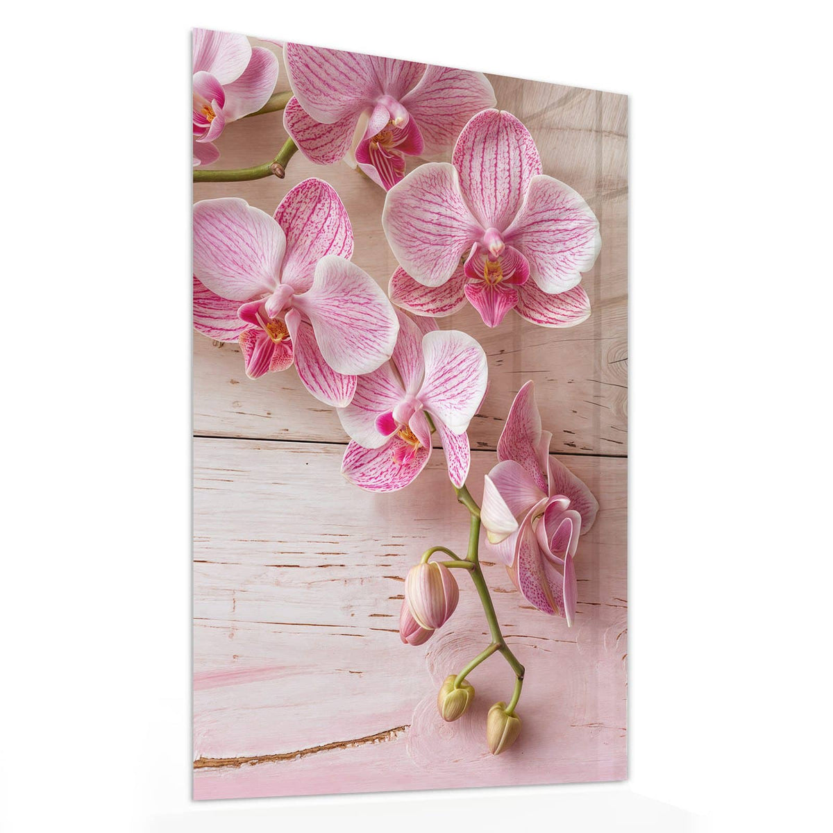 11 Größen – von 30 × 60 bis 60 × 150 cm – Wandbild - Orchideen auf Rosa - Hochformat