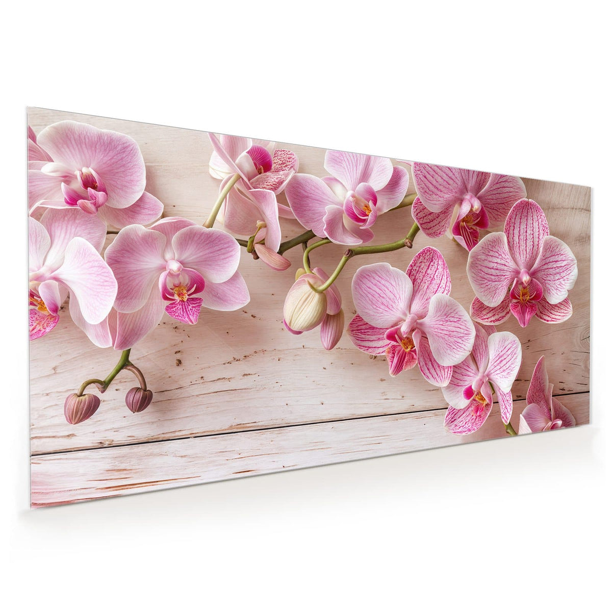 Küchenrückwand aus Glas im Hochformat mit Motiv Orchideen auf Rosa: Rosa gestreifte Phalaenopsis-Rispe auf weiß-rosa lasierten Holzbrettern
