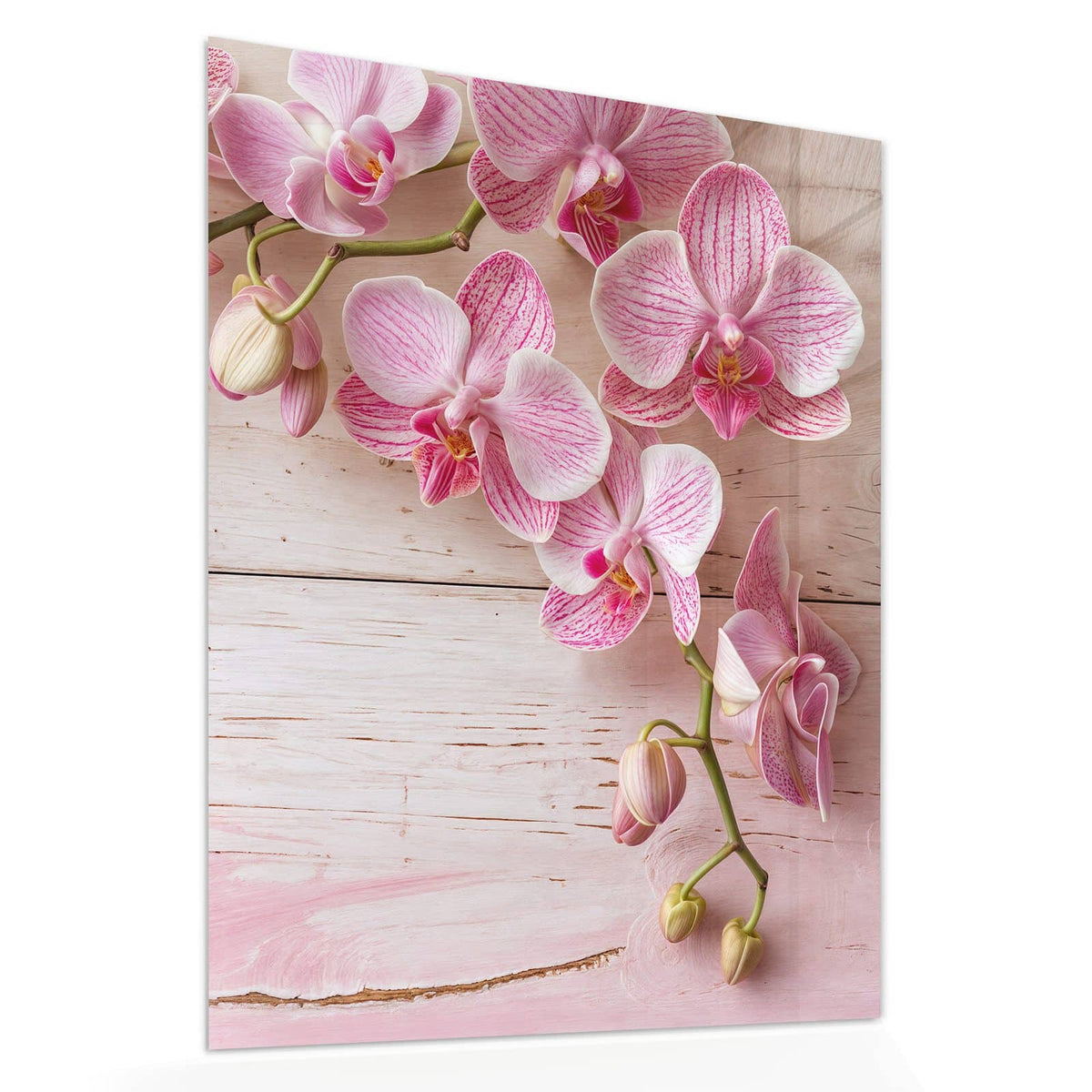 Echtglas, 4 mm – kein Acryl, keine Folie – Wandbild - Orchideen auf Rosa - Hochformat