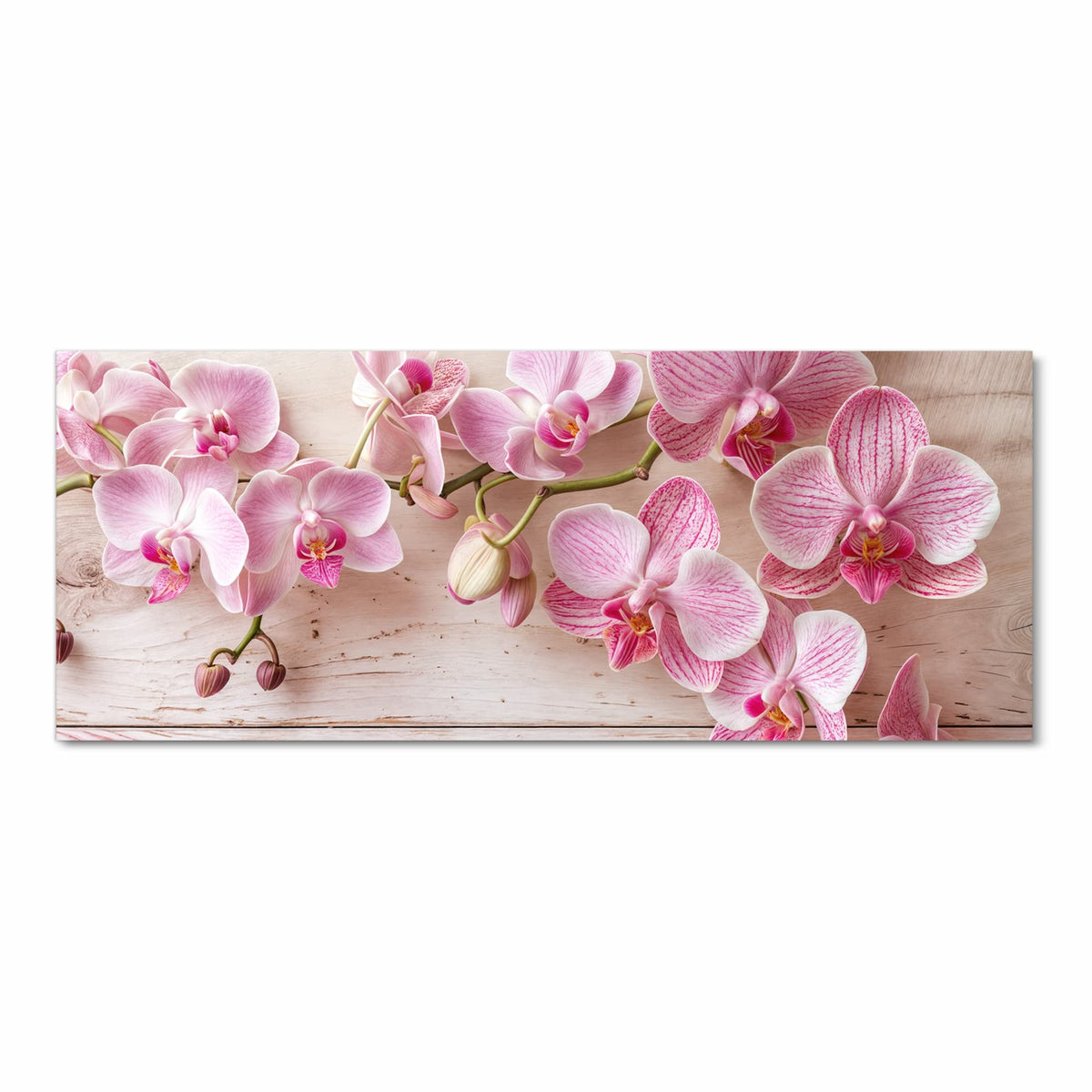 Rosa gestreifte Phalaenopsis-Rispe auf weiß-rosa lasierten Holzbrettern