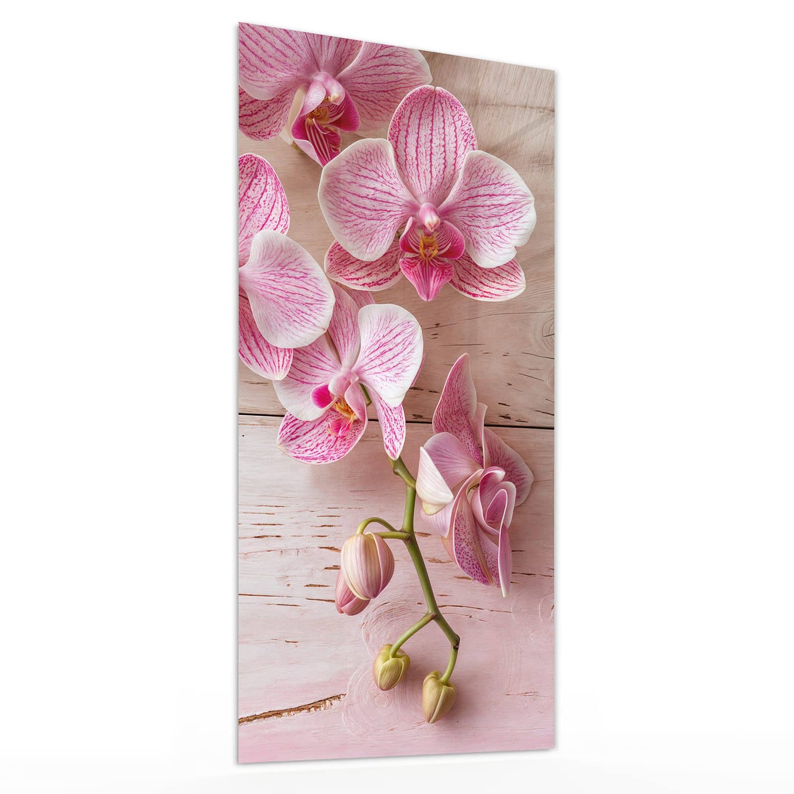 #grösse_30 x 60 cm #grösse_40 x 80 cm #grösse_50 x 100 cm #grösse_55 x 110 cm #grösse_60 x 120 cm