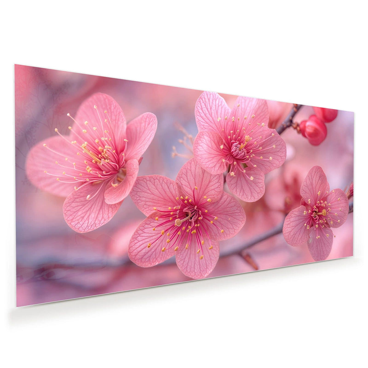 Drei kräftig pinke Blüten mit gelben Staubgefäßen in Nahaufnahme, rosa Bokeh dahinter