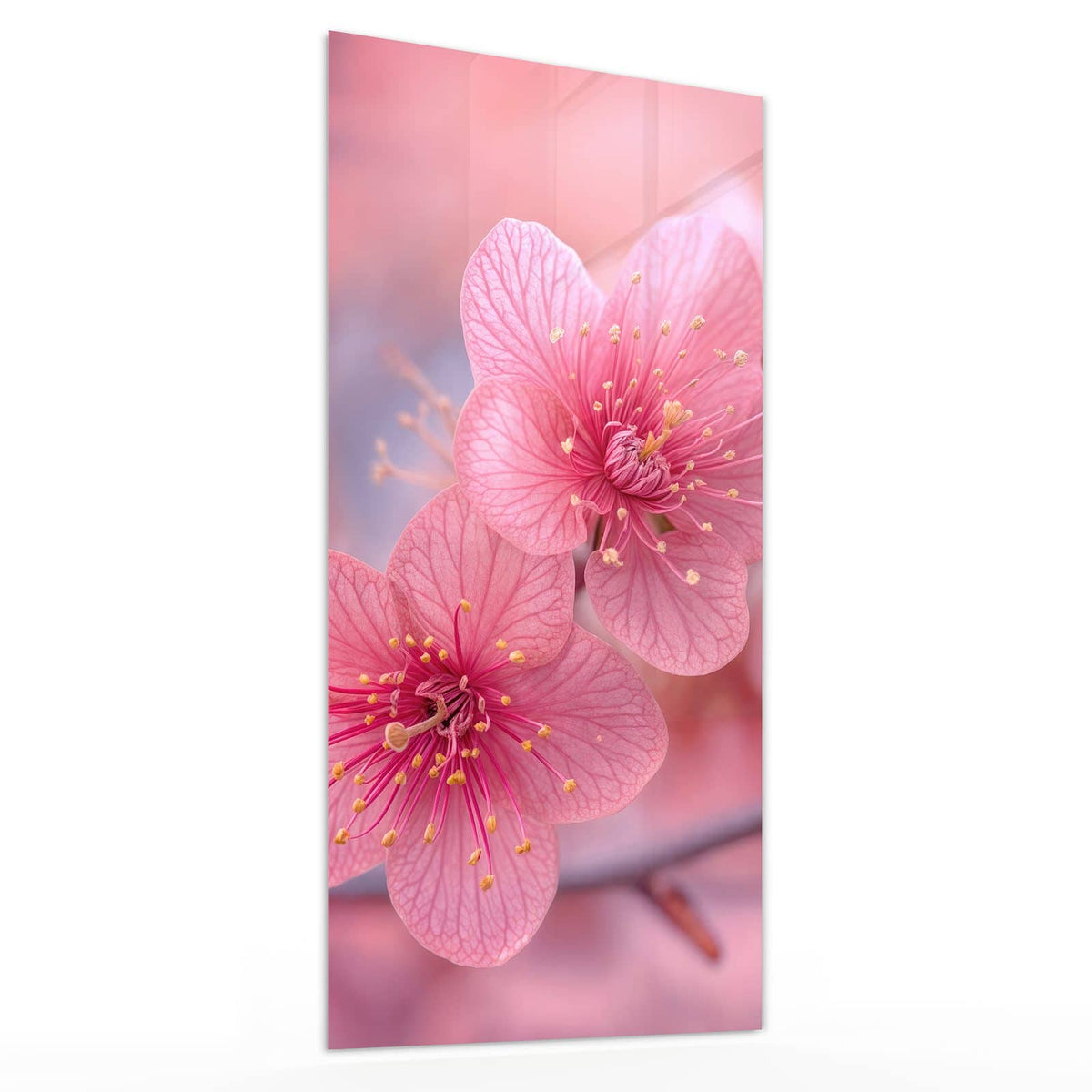 Glasbild Drei Blüten in Pink von der Seite, 4 mm Echtglas