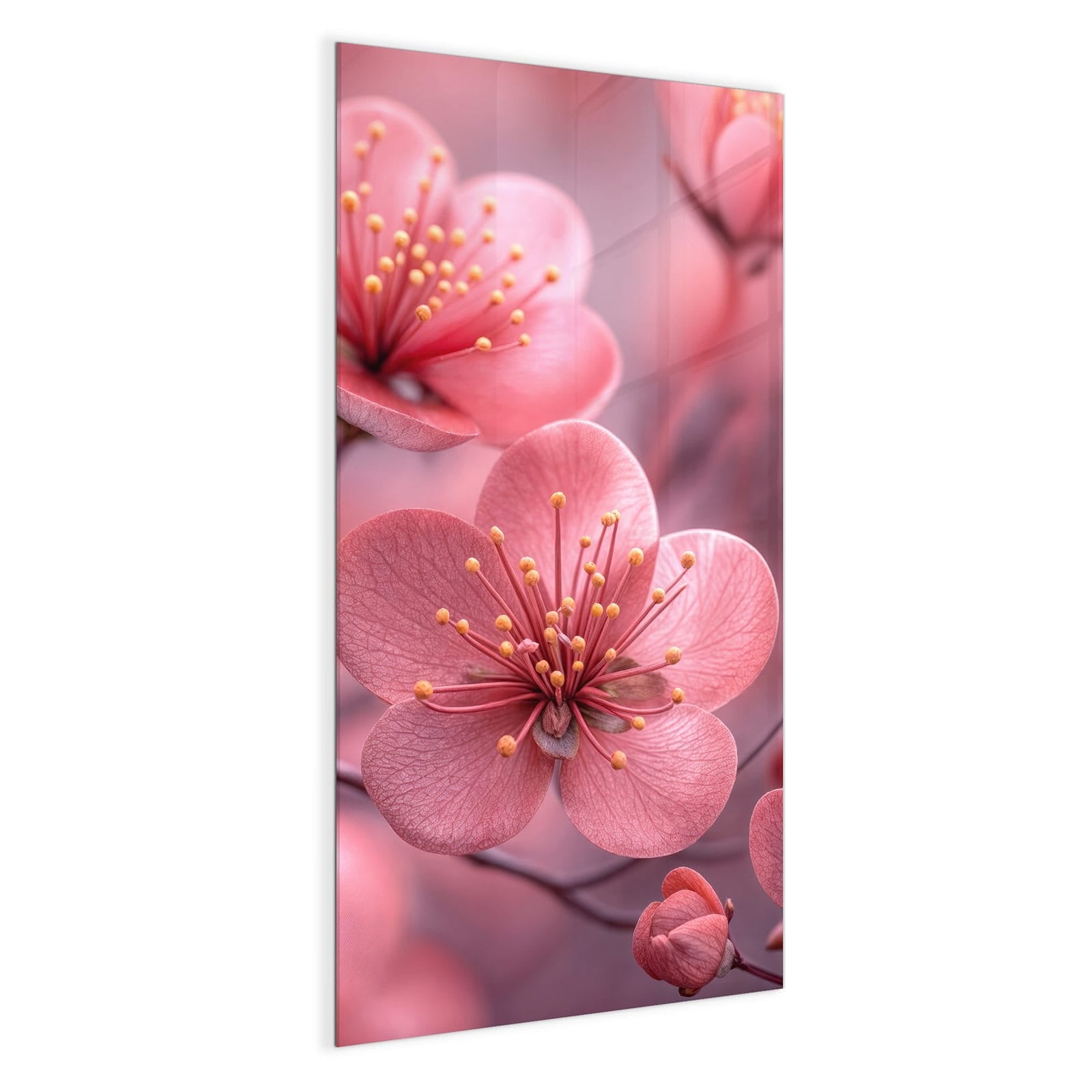 #grösse_50 x 100 cm