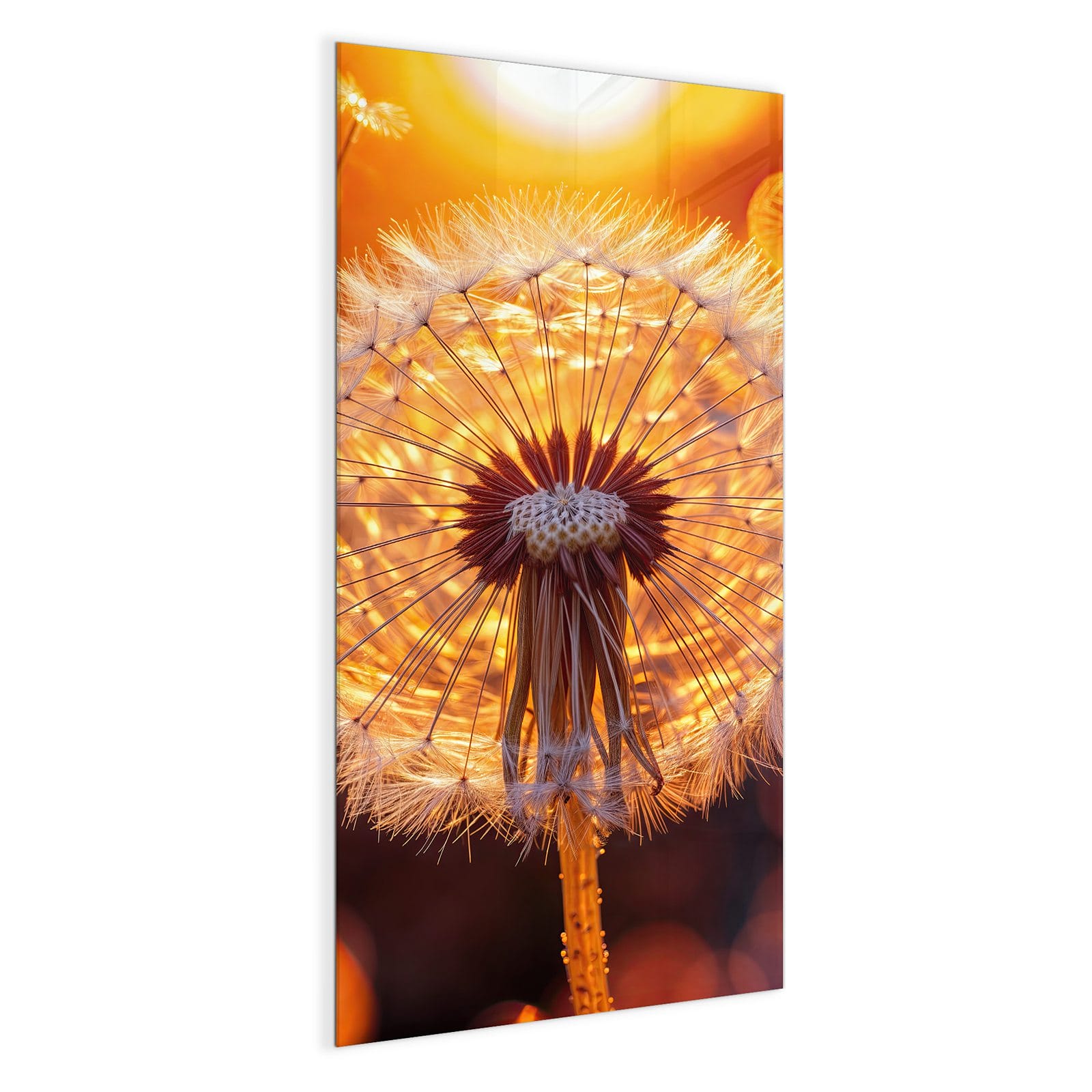 #grösse_50 x 100 cm