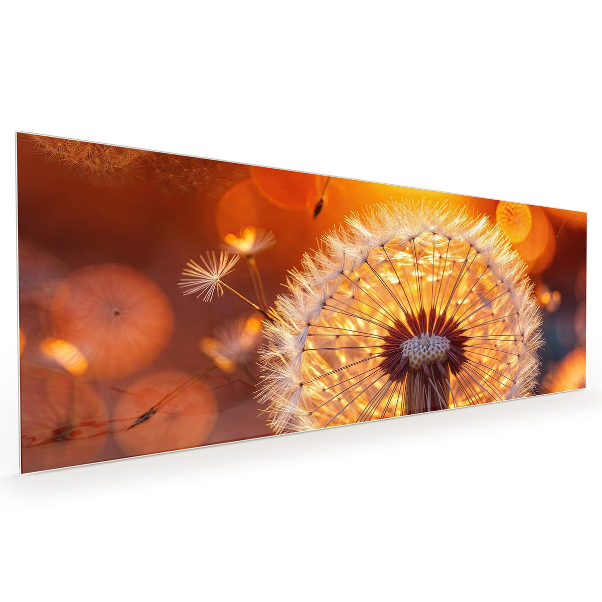 #grösse_40 x 100 cm #grösse_50 x 125 cm #grösse_60 x 150 cm