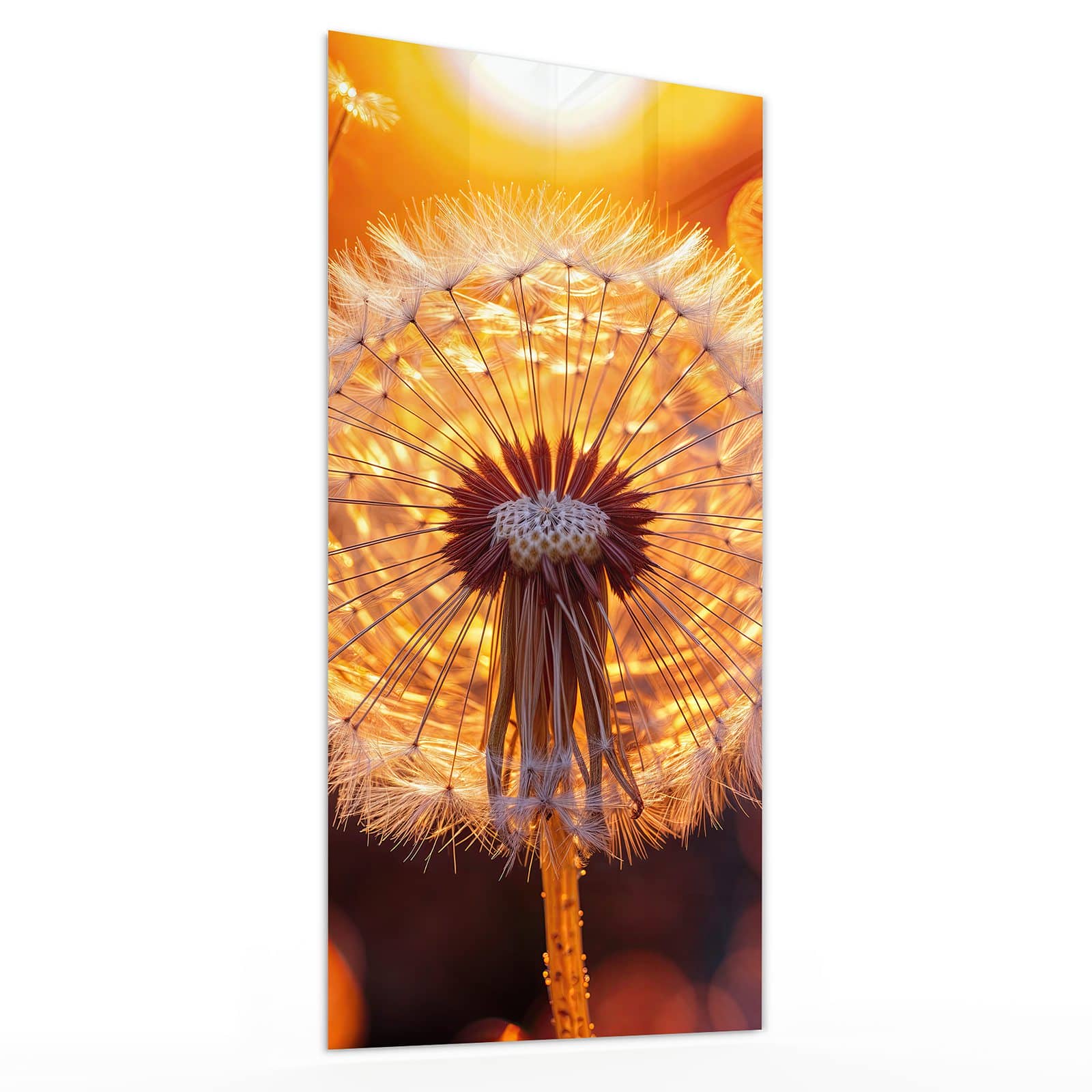 #grösse_30 x 60 cm #grösse_40 x 80 cm #grösse_50 x 100 cm #grösse_55 x 110 cm #grösse_60 x 120 cm