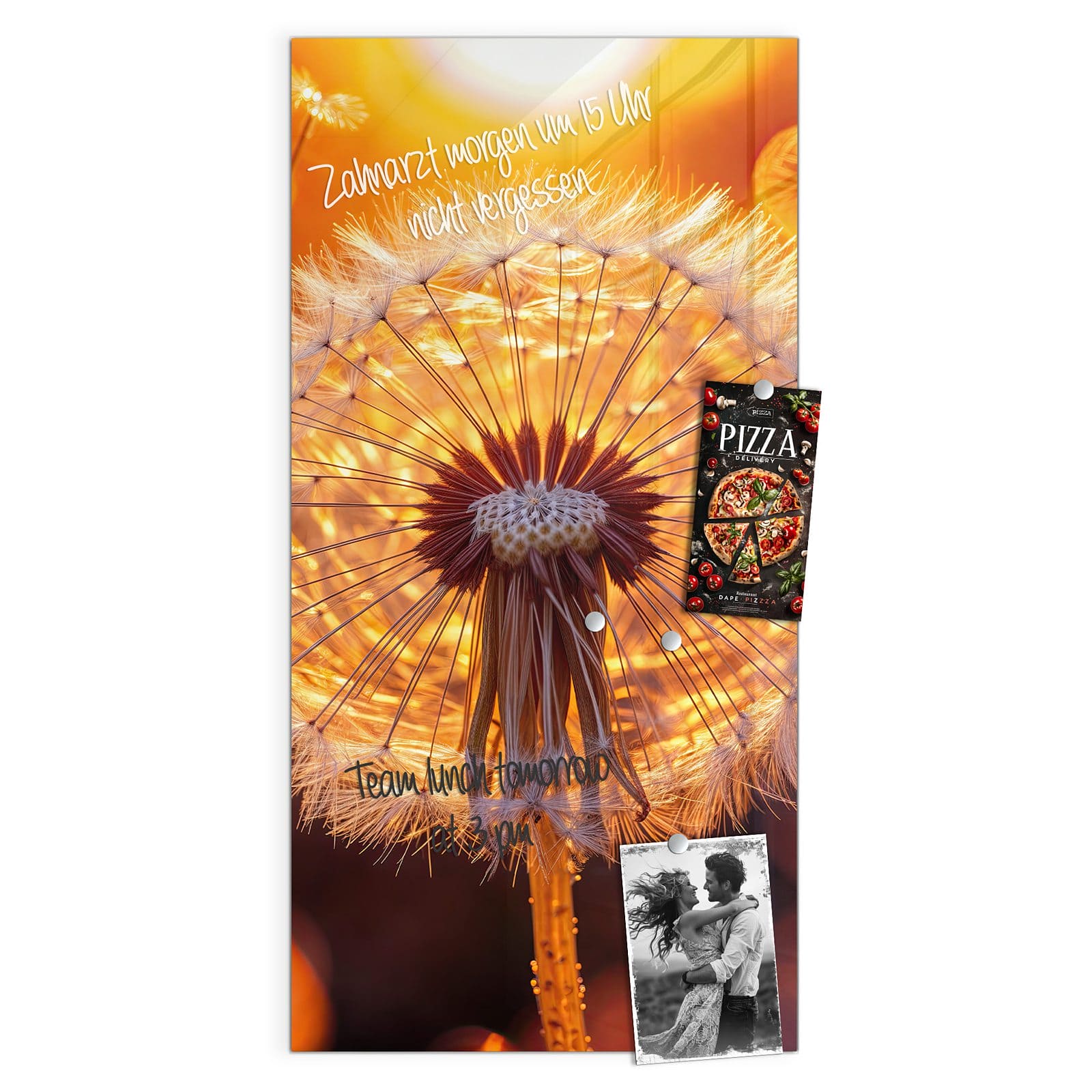 #grösse_50 x 100 cm