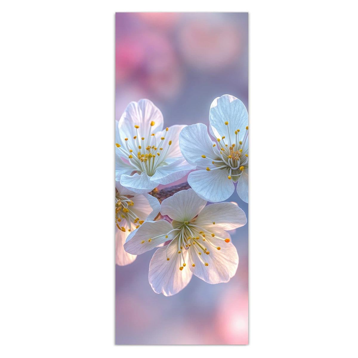 Wandbild - Weißer Blütenzweig - Hochformat – Weiße Kirschblüten vor rosa Licht
