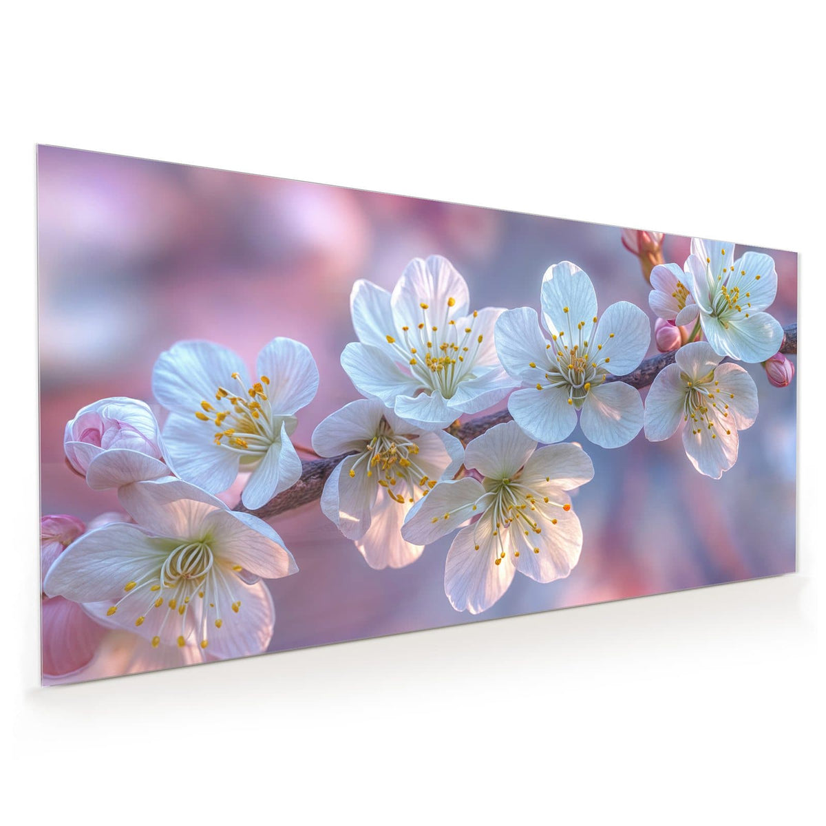 Weiße Kirschblüten mit gelben Staubgefäßen am Zweig vor rosa-lila Bokeh