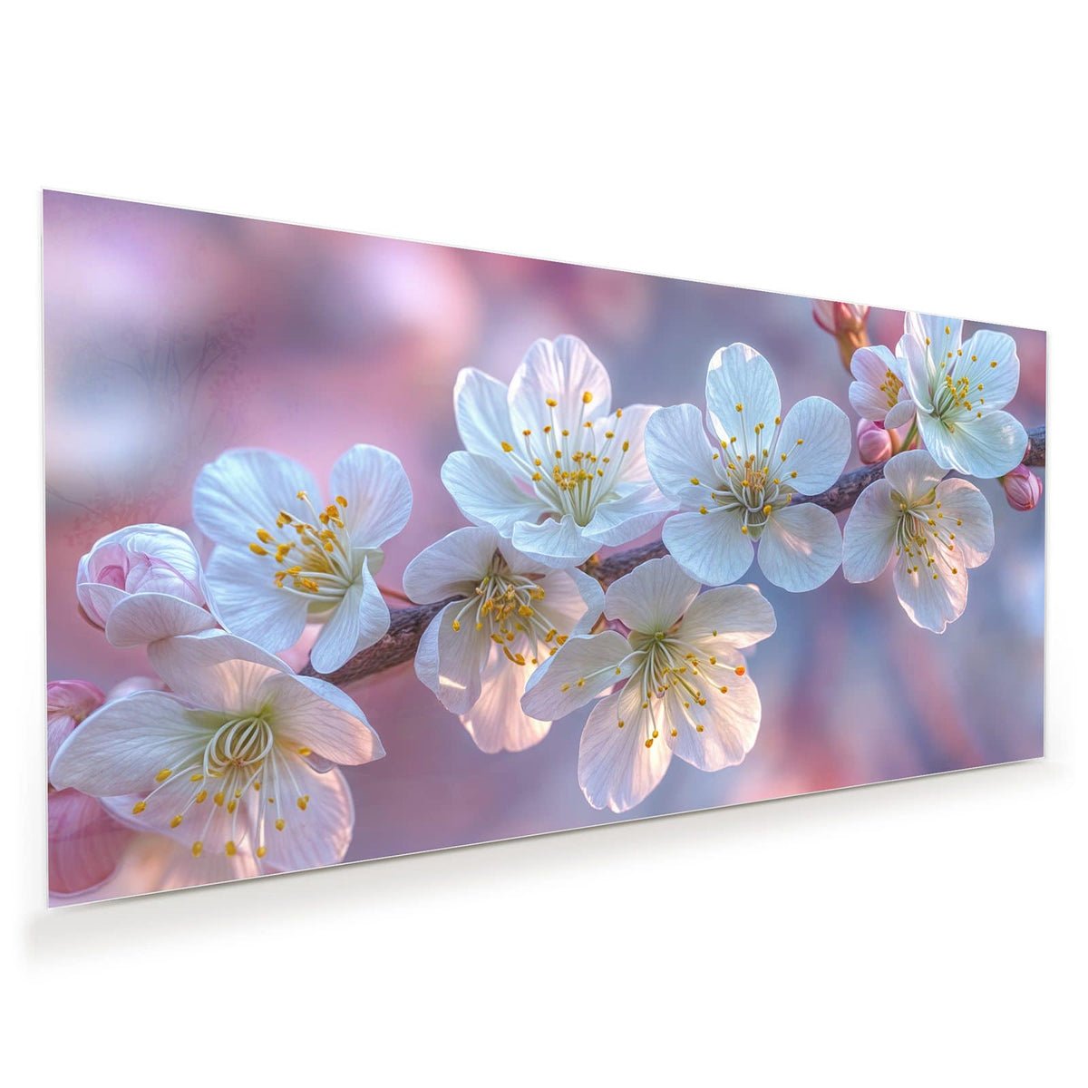 Weiße Kirschblüten mit gelben Staubgefäßen am Zweig vor rosa-lila Bokeh