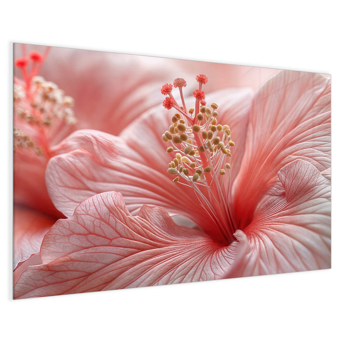 4 mm Glas statt lackiertem Blech – Magnettafel - Rosa Hibiskusblüte