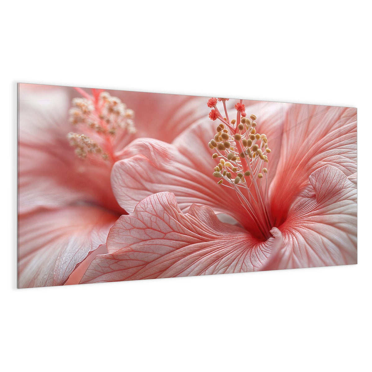 Makro einer rosa Hibiskusblüte mit Staubblattsäule