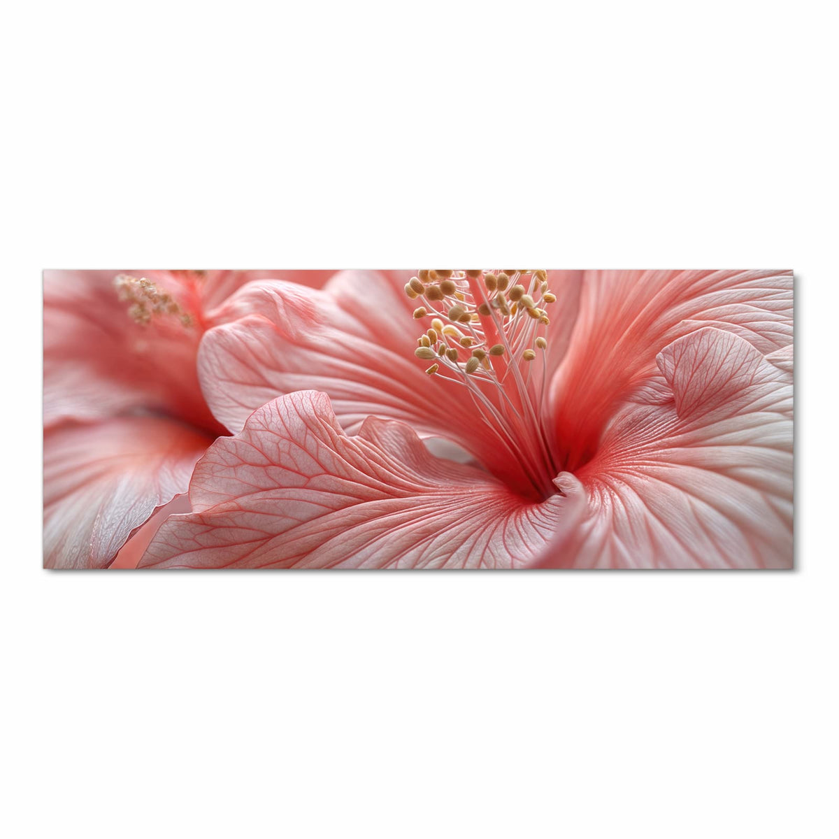 Makro einer rosa Hibiskusblüte mit Staubblattsäule
