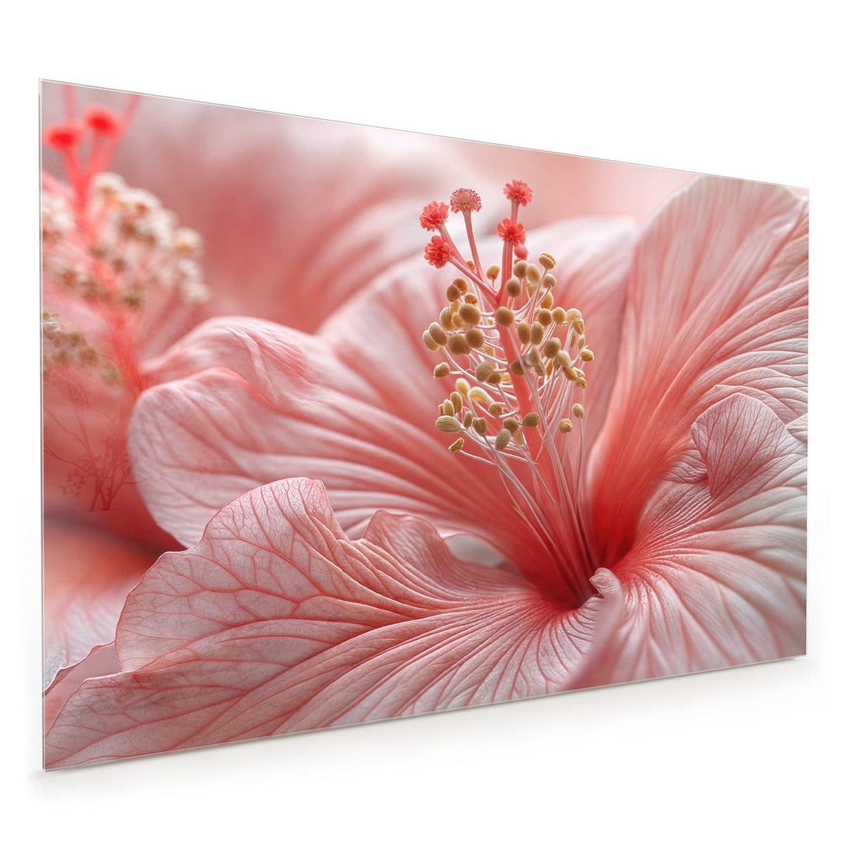 Küchenrückwand aus Glas im Hochformat: Makro einer rosa Hibiskusblüte mit Staubblattsäule