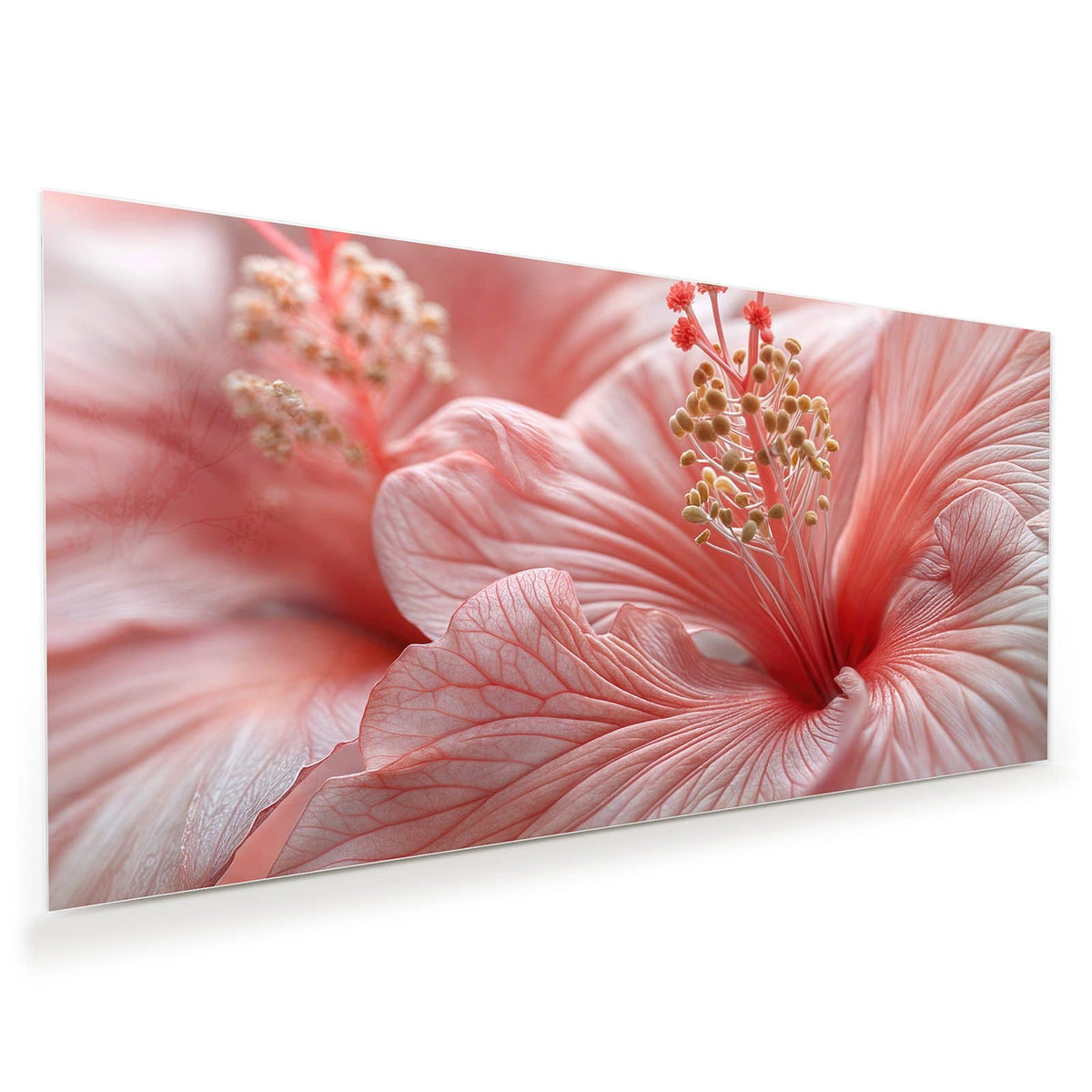 Makro einer rosa Hibiskusblüte mit Staubblattsäule