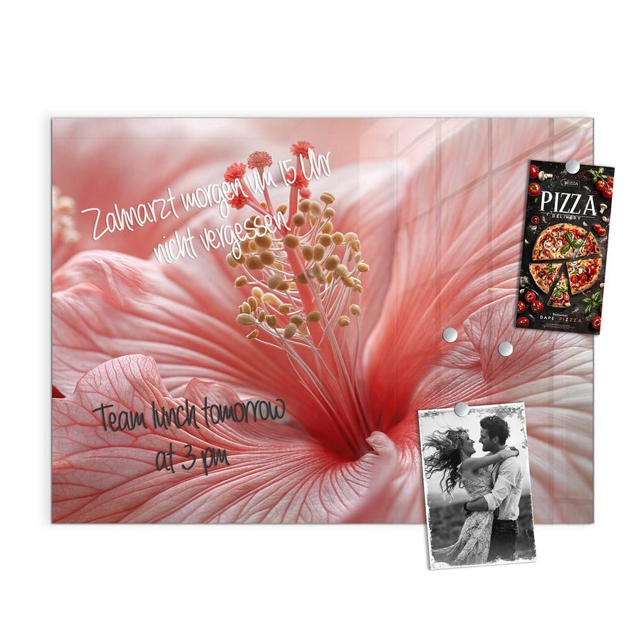 Maße Magnettafel - Rosa Hibiskusblüte