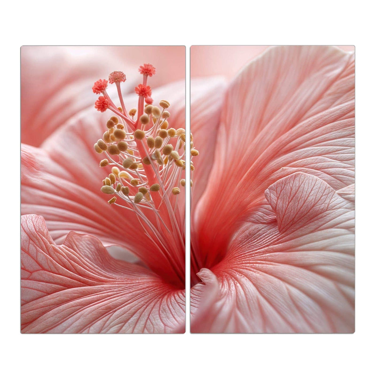 Makro einer rosa Hibiskusblüte mit Staubblattsäule