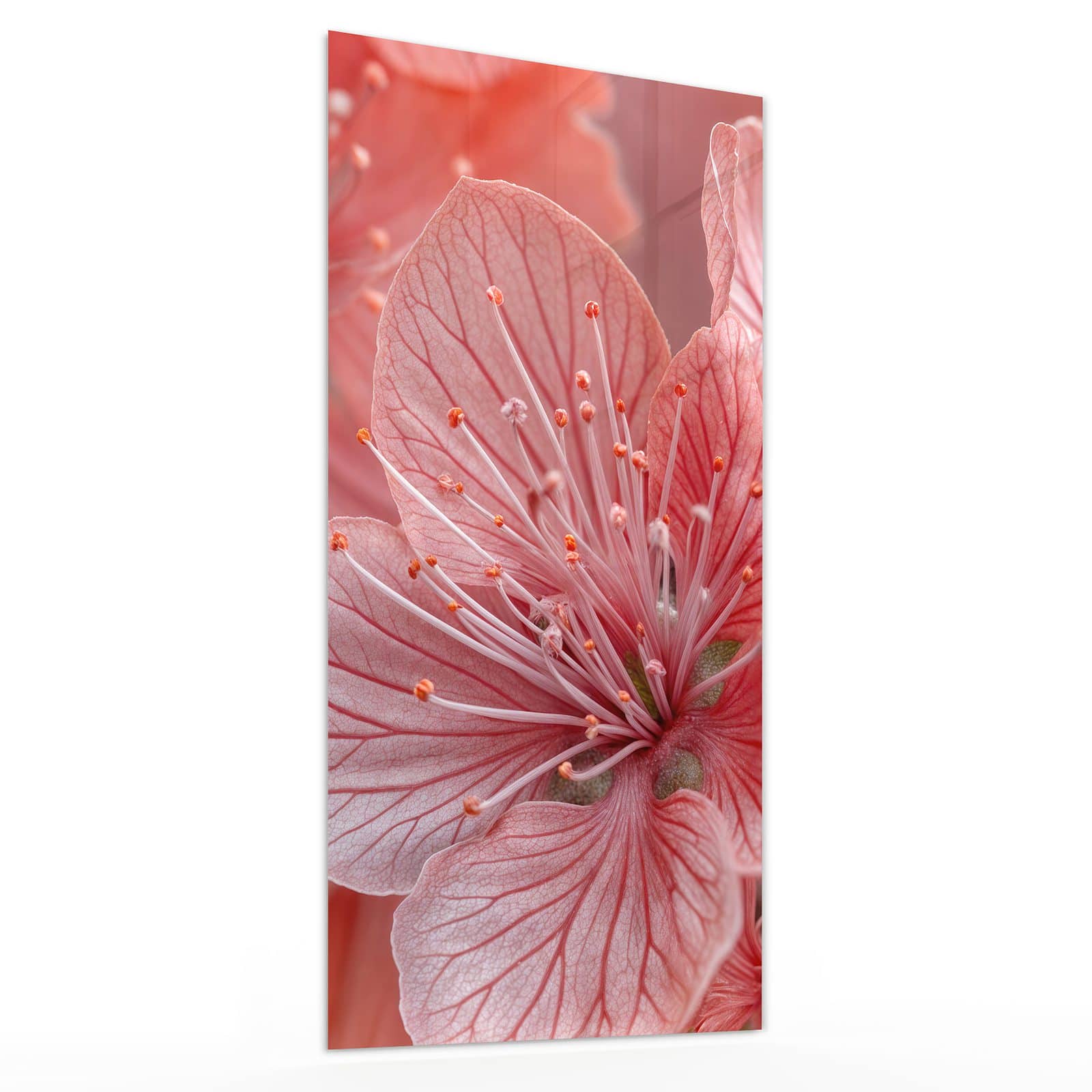 #grösse_30 x 60 cm #grösse_40 x 80 cm #grösse_50 x 100 cm #grösse_55 x 110 cm #grösse_60 x 120 cm