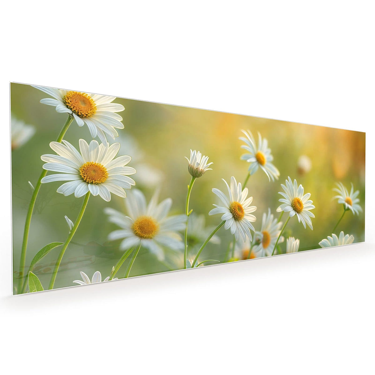 #grösse_40 x 100 cm #grösse_50 x 125 cm #grösse_60 x 150 cm