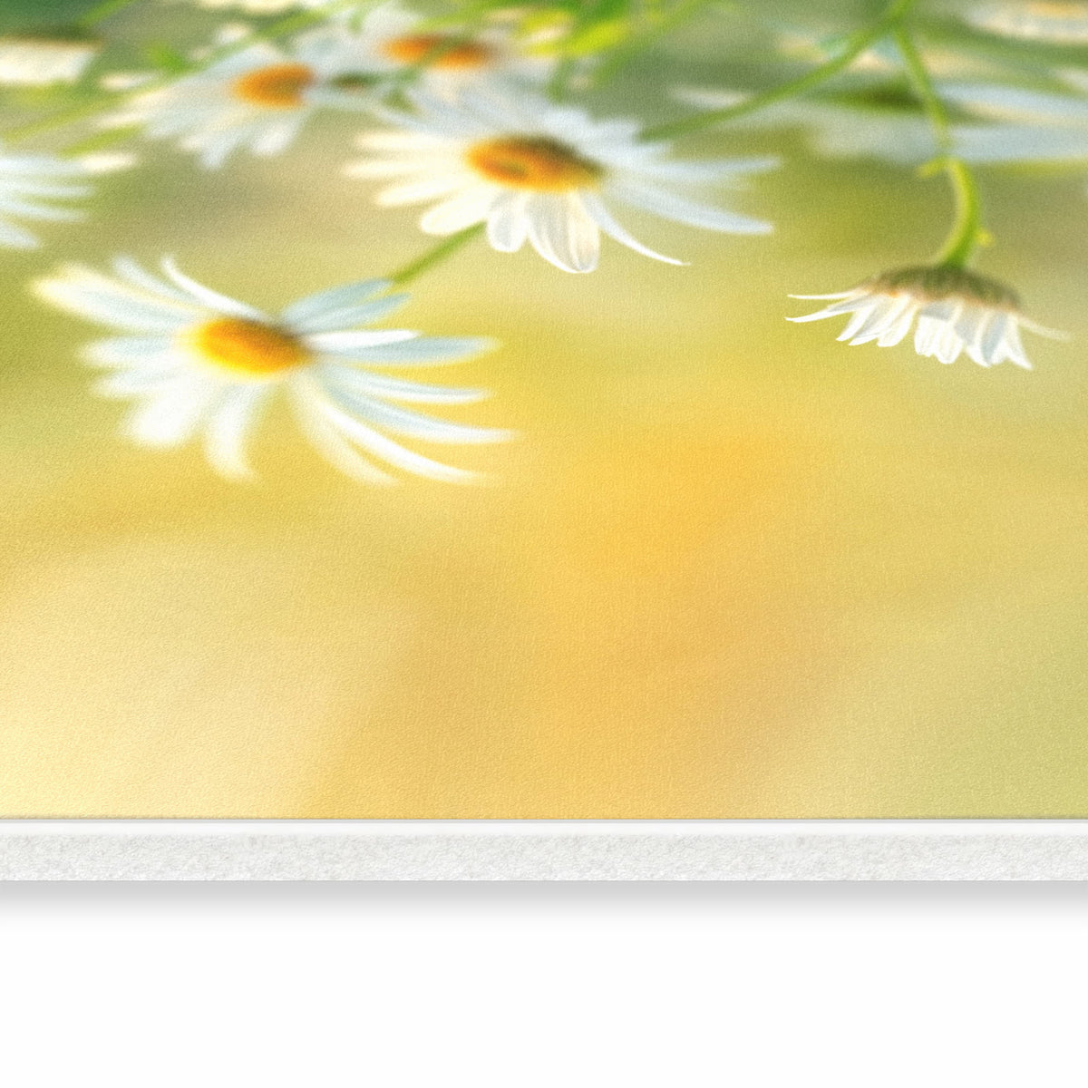 UV-beständiger dünner Teppich mit Motiv Blühende Gänseblümchen in seitlicher Ansicht