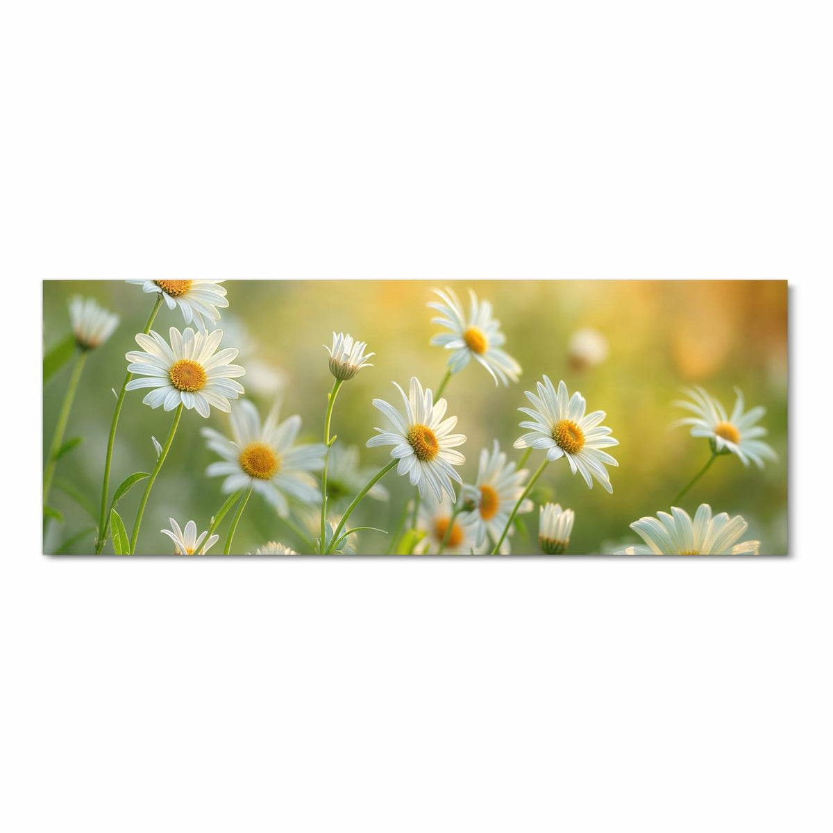 Abriebfester rutschfester Küchenteppich mit Motiv Blühende Gänseblümchen in Frontansicht