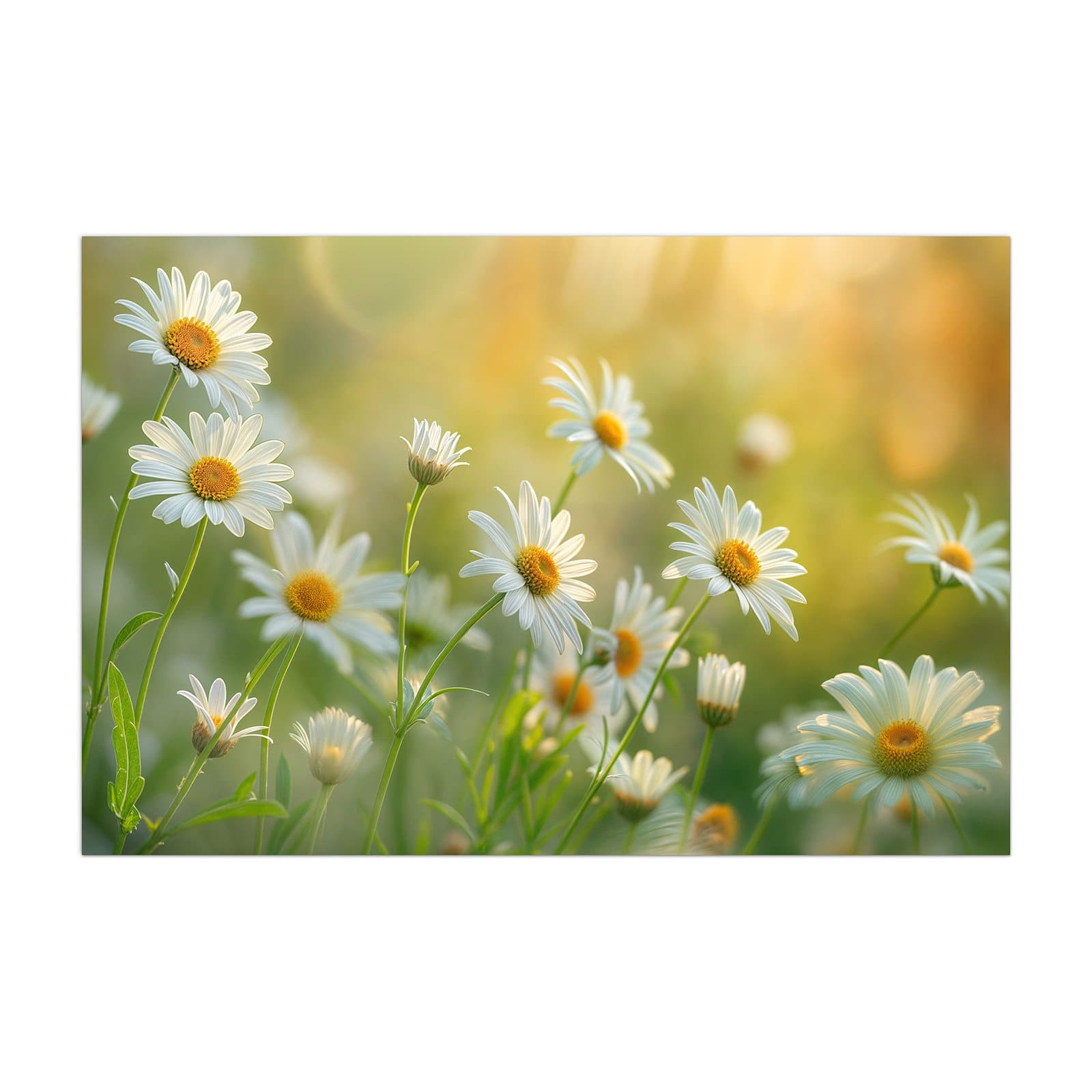 #grösse_40 x 60 cm #grösse_50 x 75 cm #grösse_60 x 90 cm #grösse_80 x 120 cm