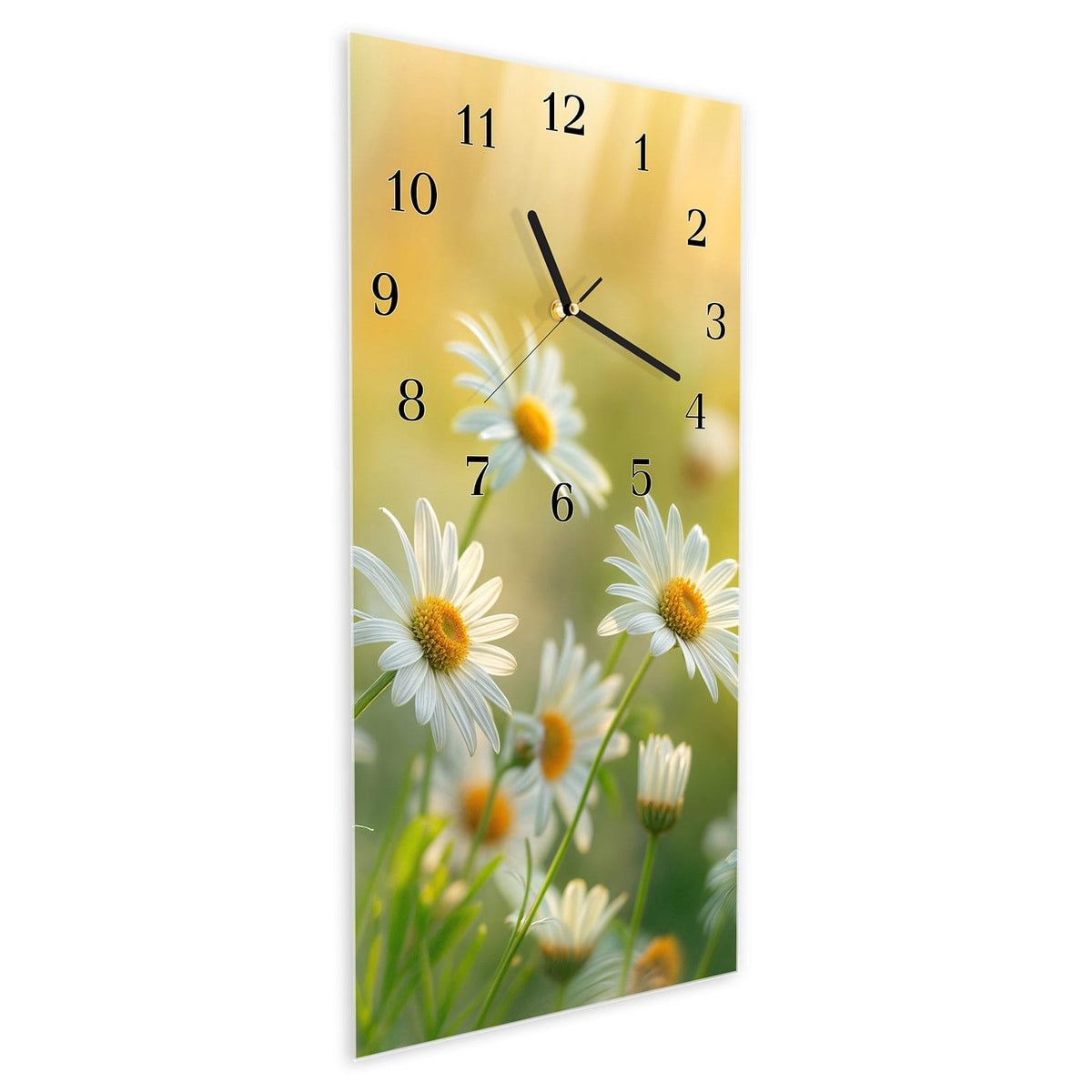 Vormontiert – mit Schwebeeffekt – Wanduhr Blühende Gänseblümchen aus Glas – Hochformat 30 × 60 cm