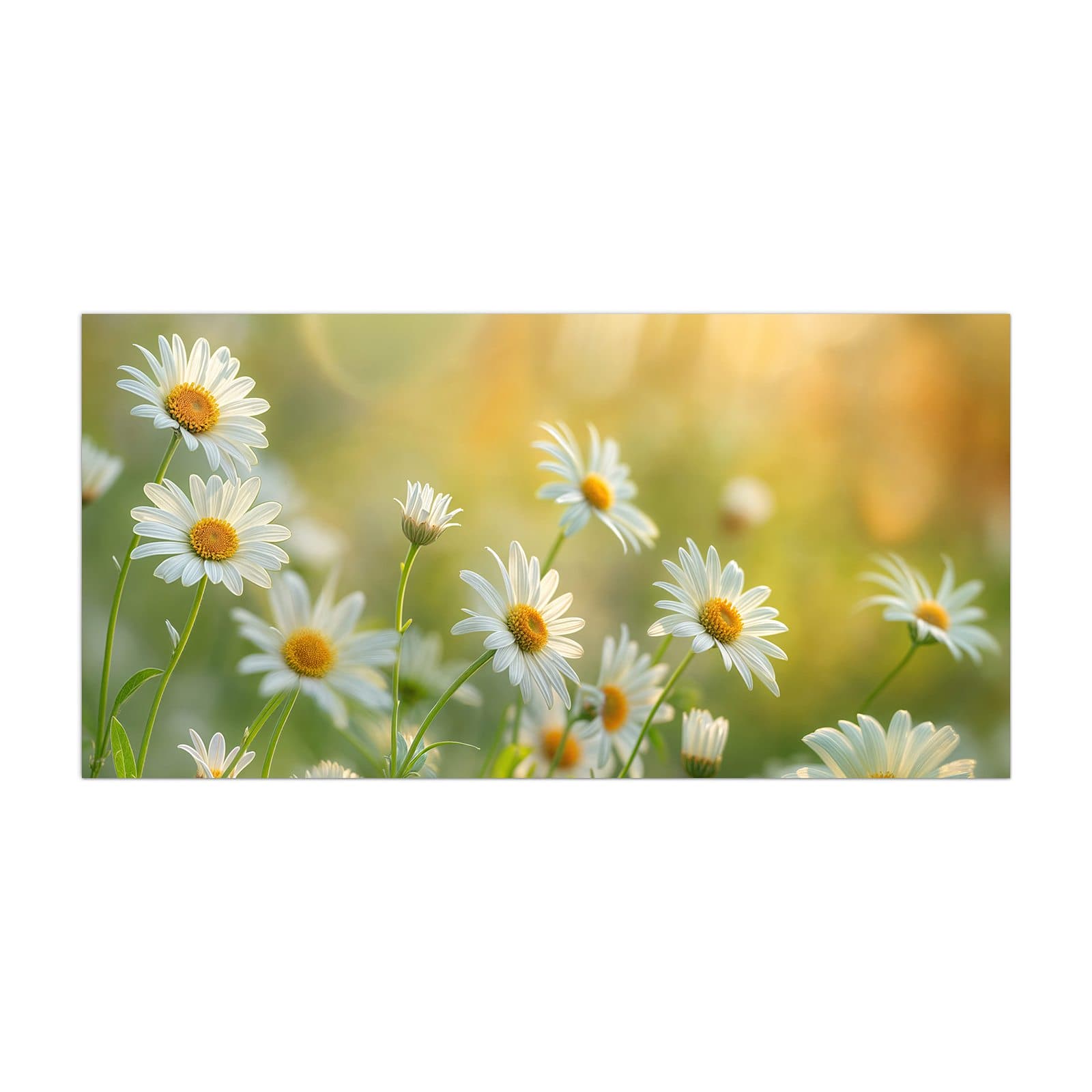#grösse_40 x 80 cm #grösse_50 x 100 cm #grösse_55 x 110 cm #grösse_60 x 120 cm