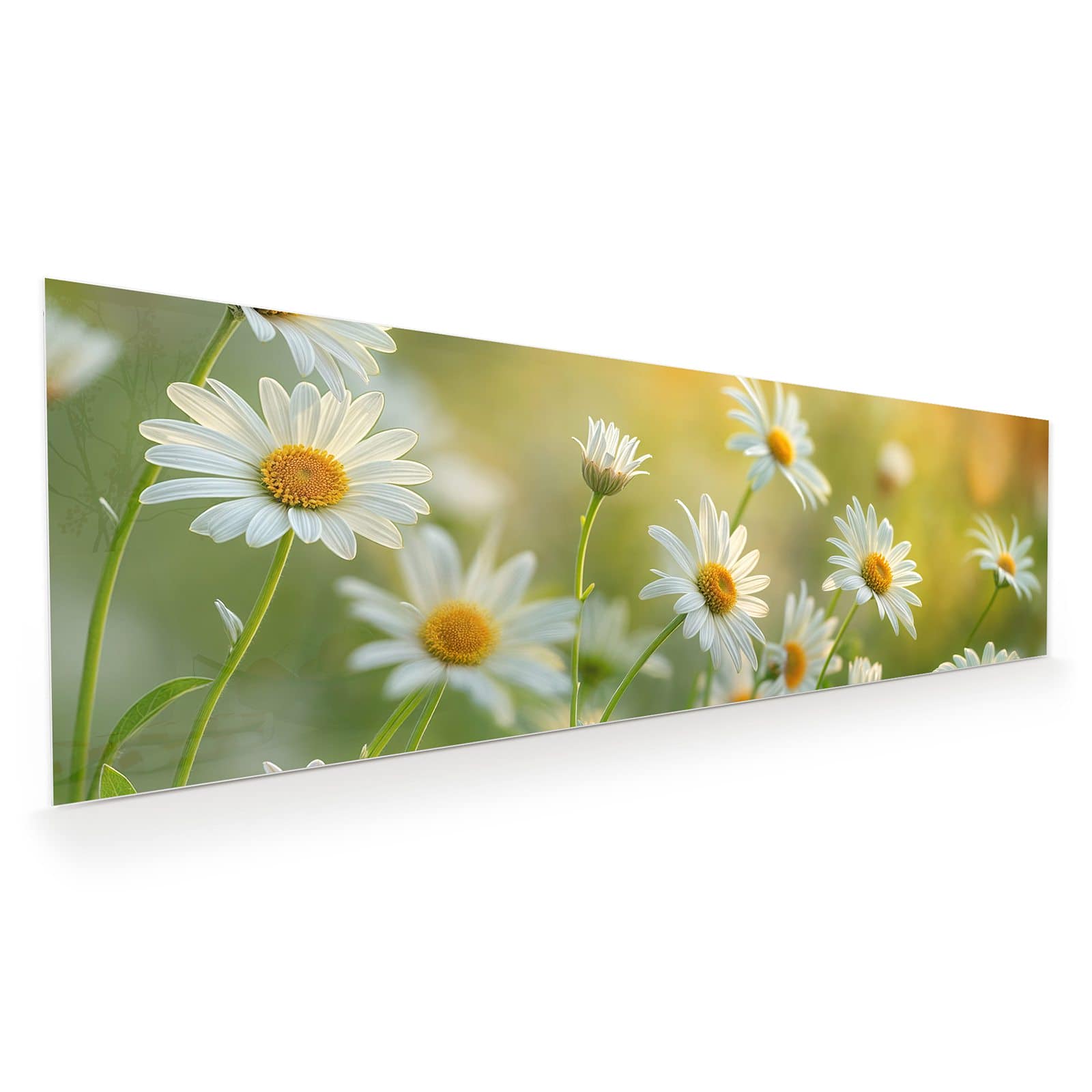 #grösse_120 x 40 cm