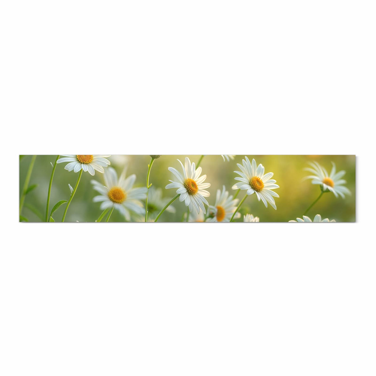 Farbbeständiger Bodenläufer mit Motiv Blühende Gänseblümchen in Frontansicht