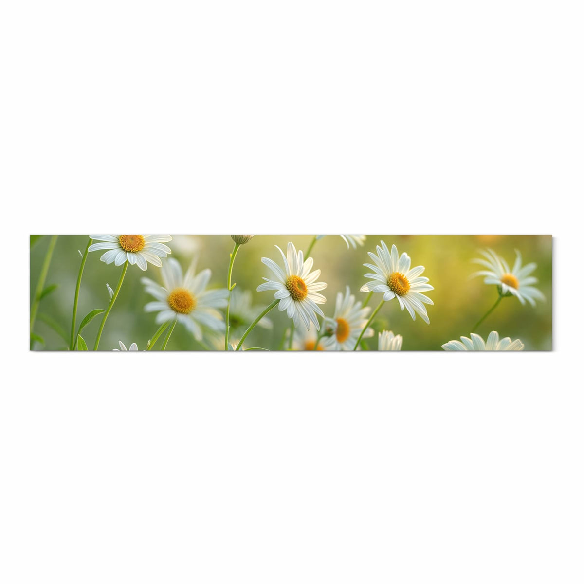Bodenschonender rutschfester Küchenteppich mit Motiv Blühende Gänseblümchen in Frontansicht