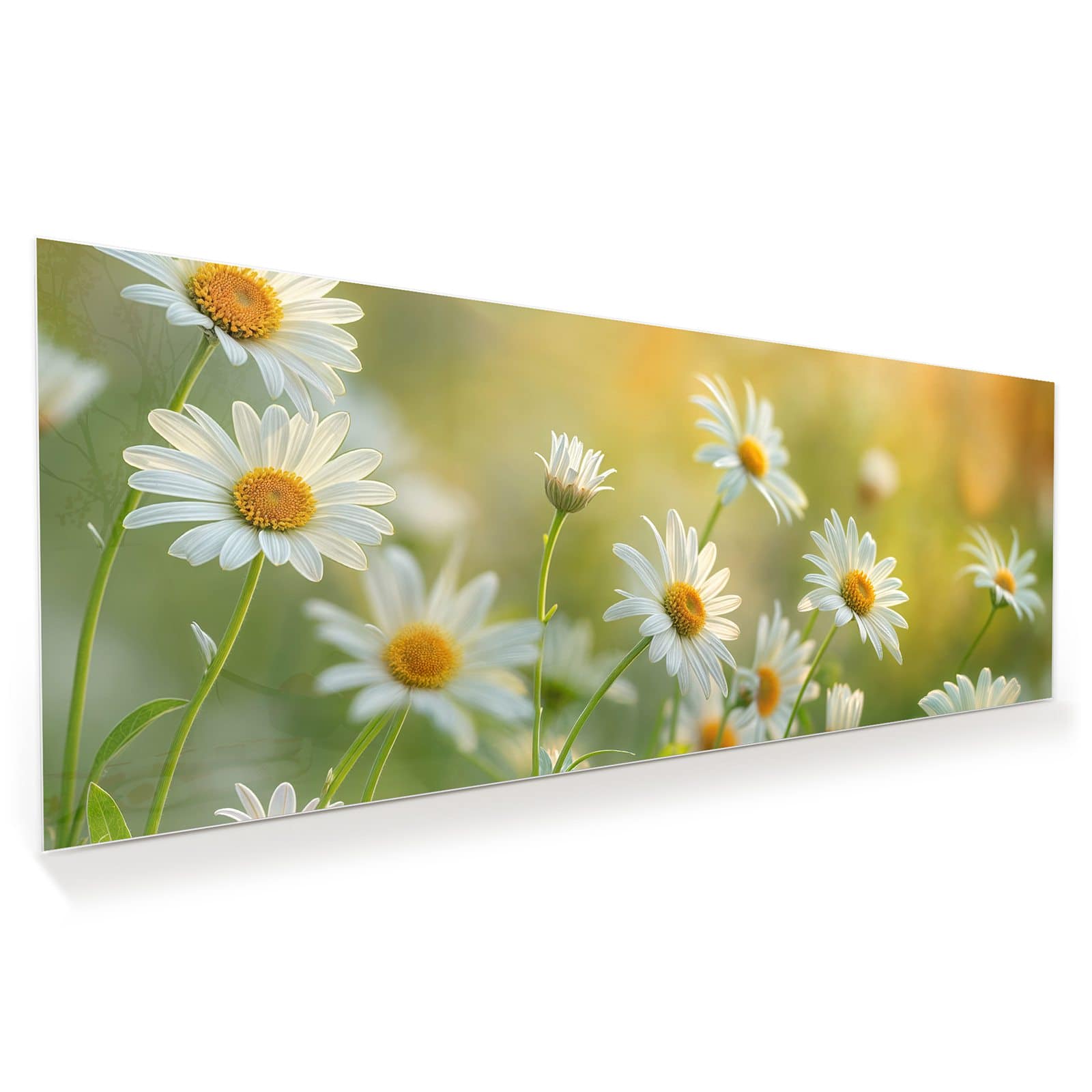 #grösse_100 x 40 cm #grösse_125 x 50 cm #grösse_150 x 60 cm