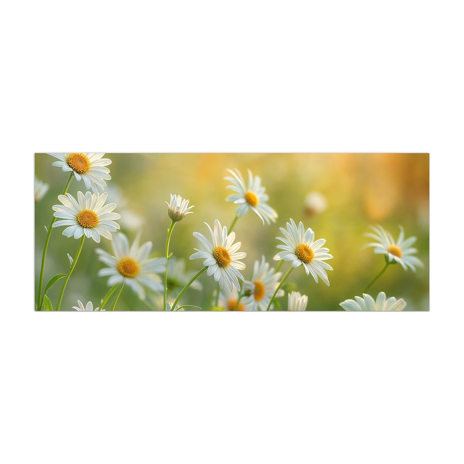 #grösse_40 x 100 cm #grösse_50 x 125 cm #grösse_60 x 150 cm
