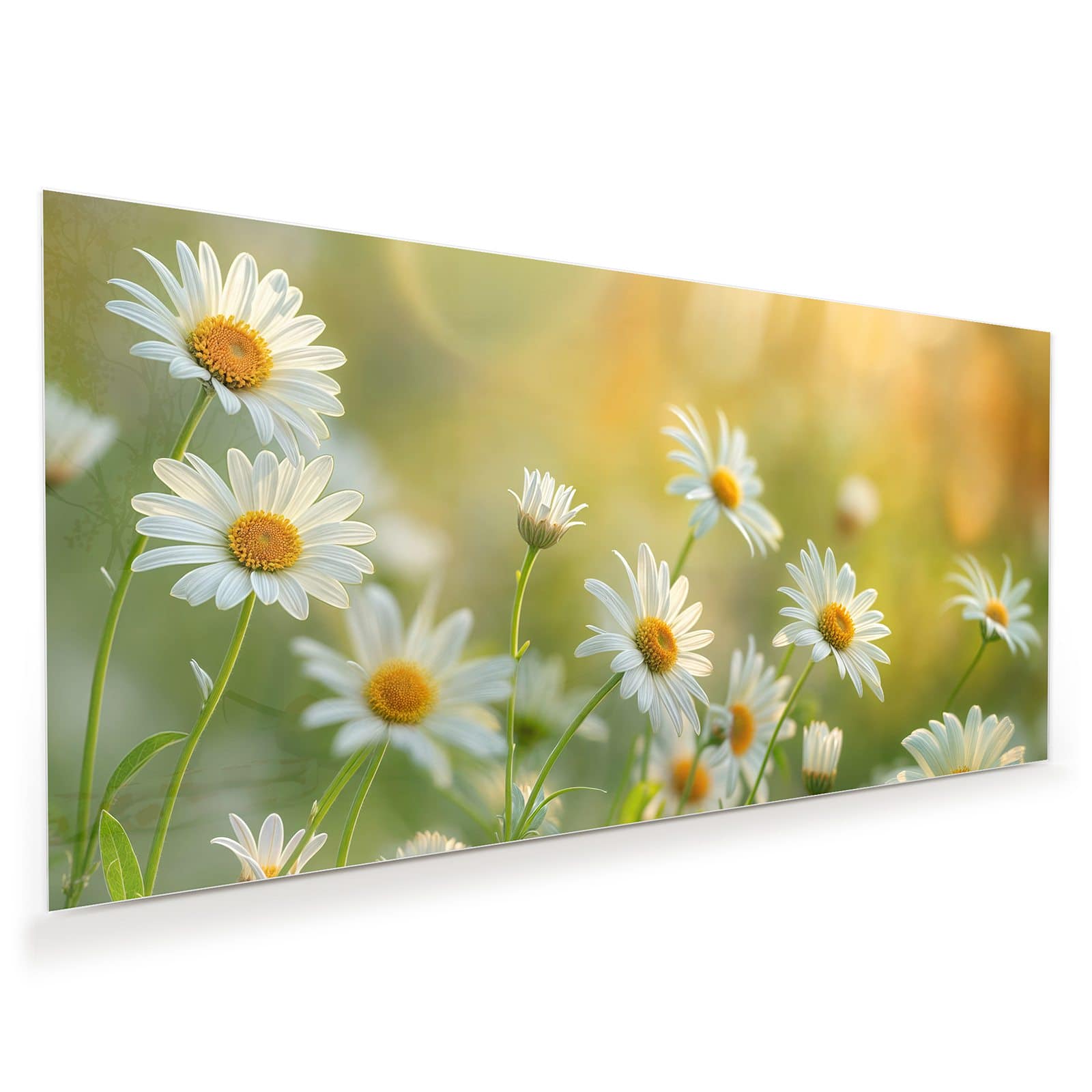 #grösse_60 x 30 cm #grösse_80 x 40 cm #grösse_100 x 50 cm #grösse_110 x 55 cm #grösse_120 x 60 cm