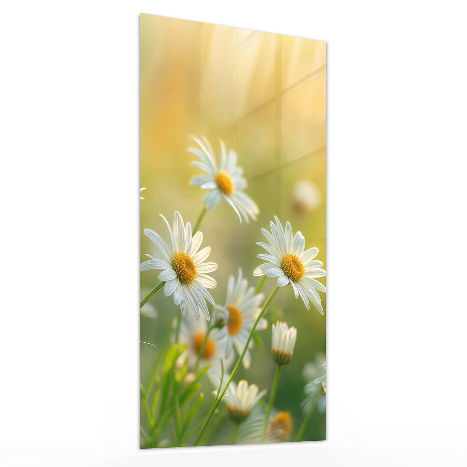 #grösse_30 x 60 cm #grösse_40 x 80 cm #grösse_50 x 100 cm #grösse_55 x 110 cm #grösse_60 x 120 cm