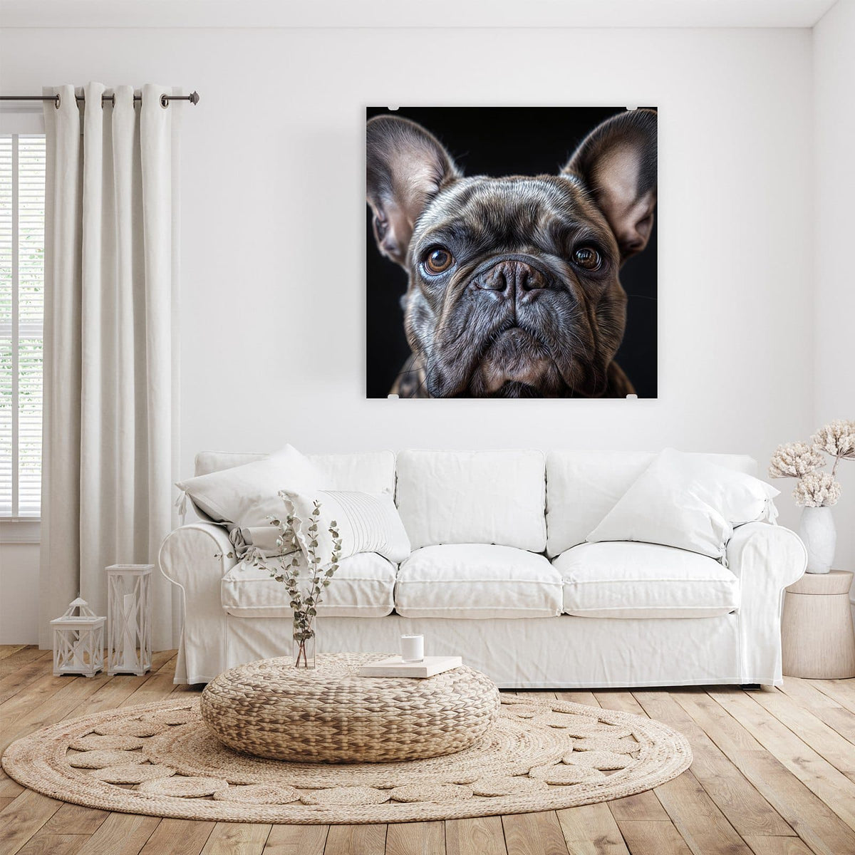 Französische Bulldogge, Kopf formatfüllend vor schwarzem Hintergrund