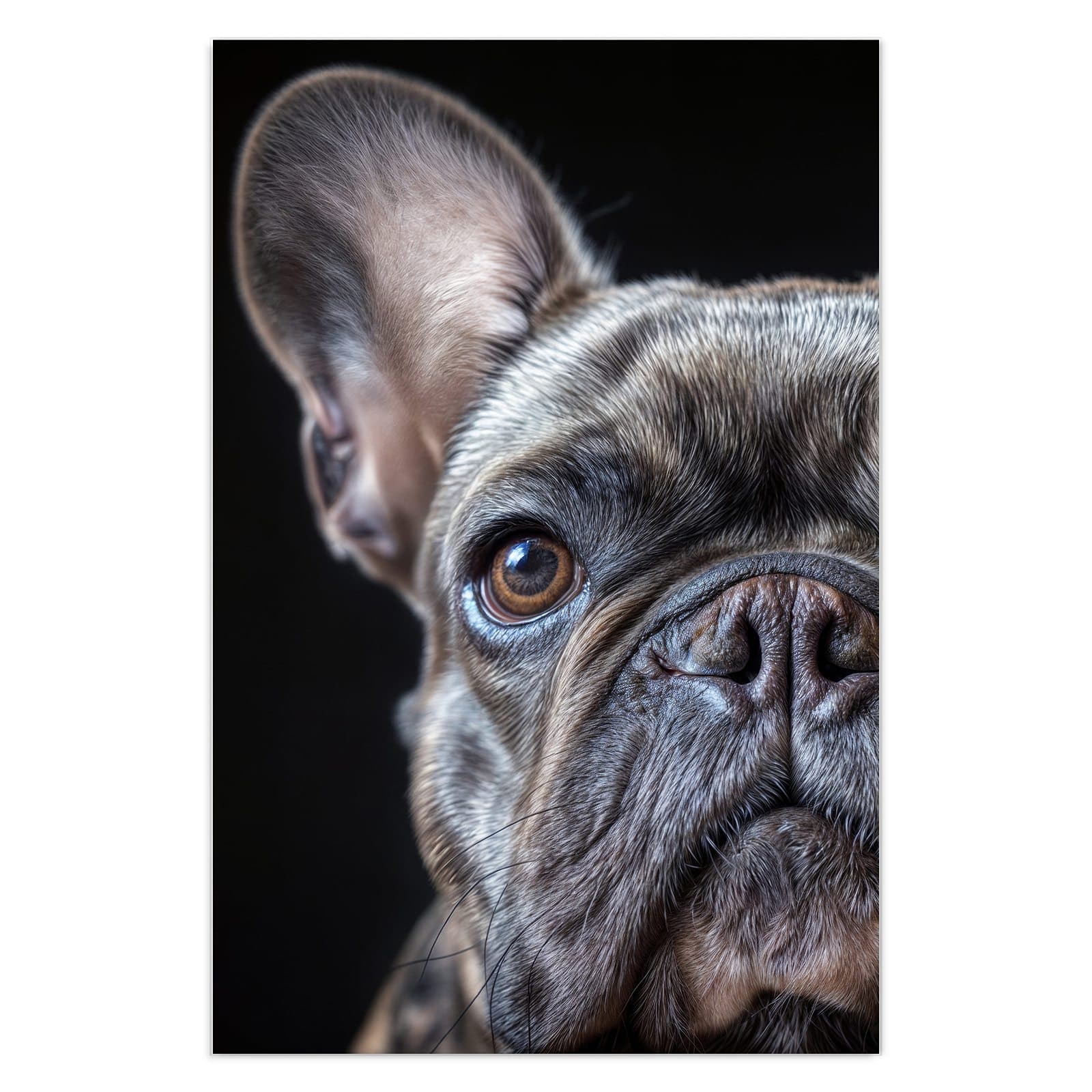 #grösse_40 x 60 cm #grösse_50 x 75 cm #grösse_60 x 90 cm