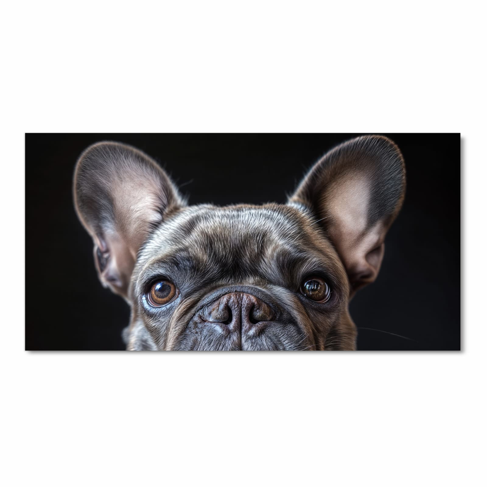 Langlebiger Küchenvorleger mit Motiv Bulldoggenportrait in Frontansicht